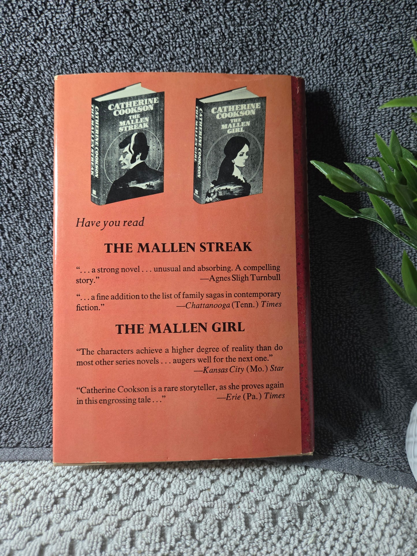 The Mallen Lot
