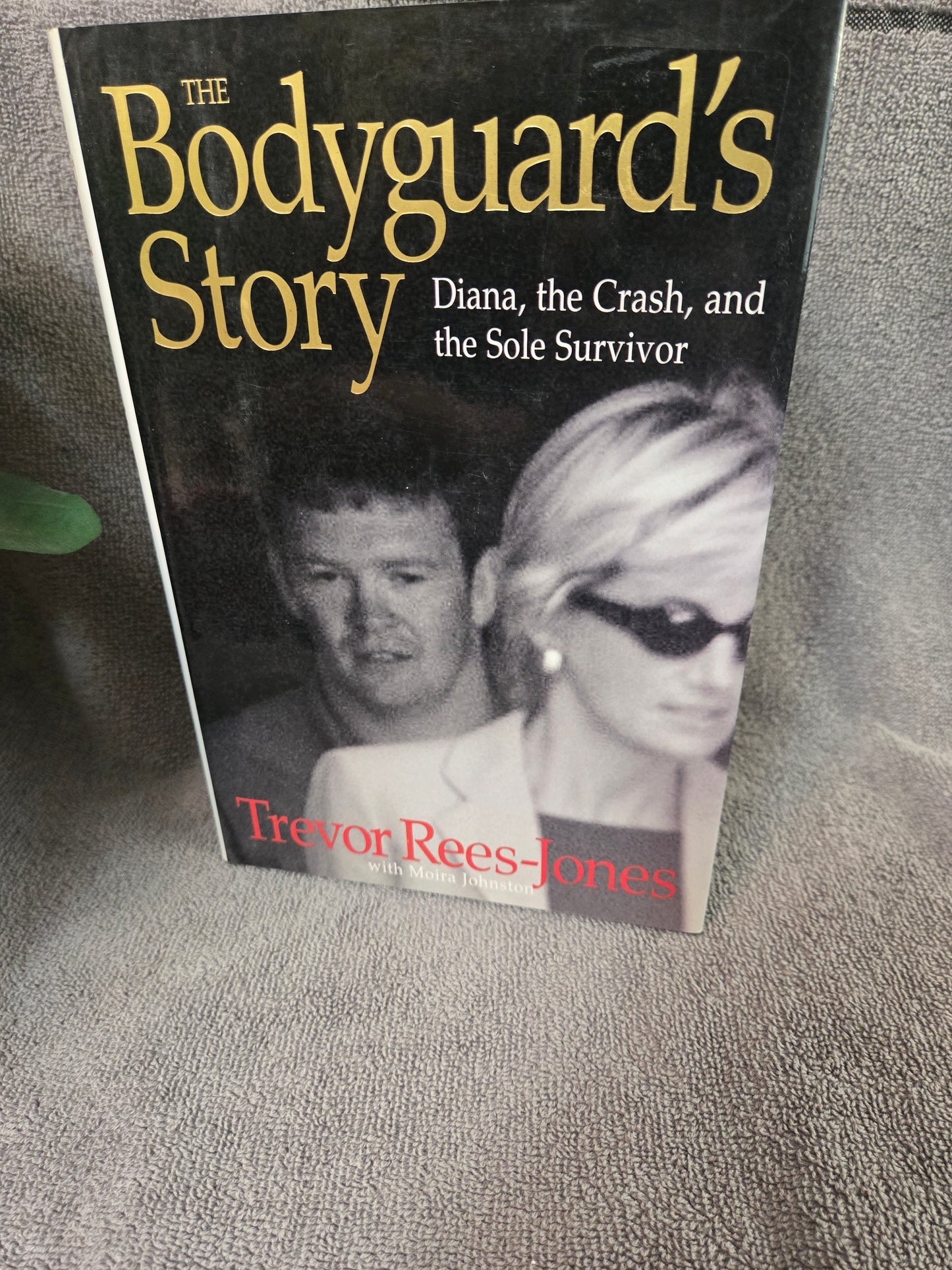 The Bodyguard's Story: Diana, the Crash, and the Sole Survivor
