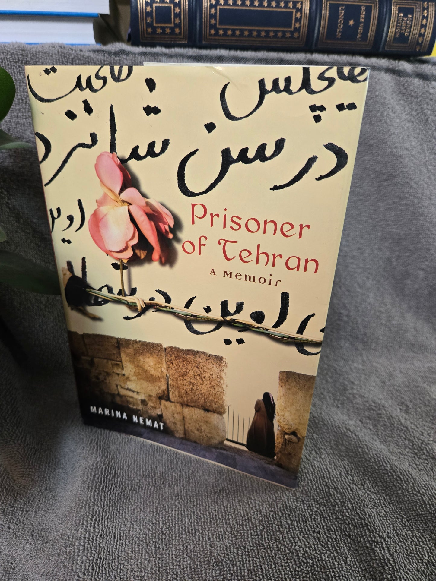 Prisoner of Tehran: A Memoir