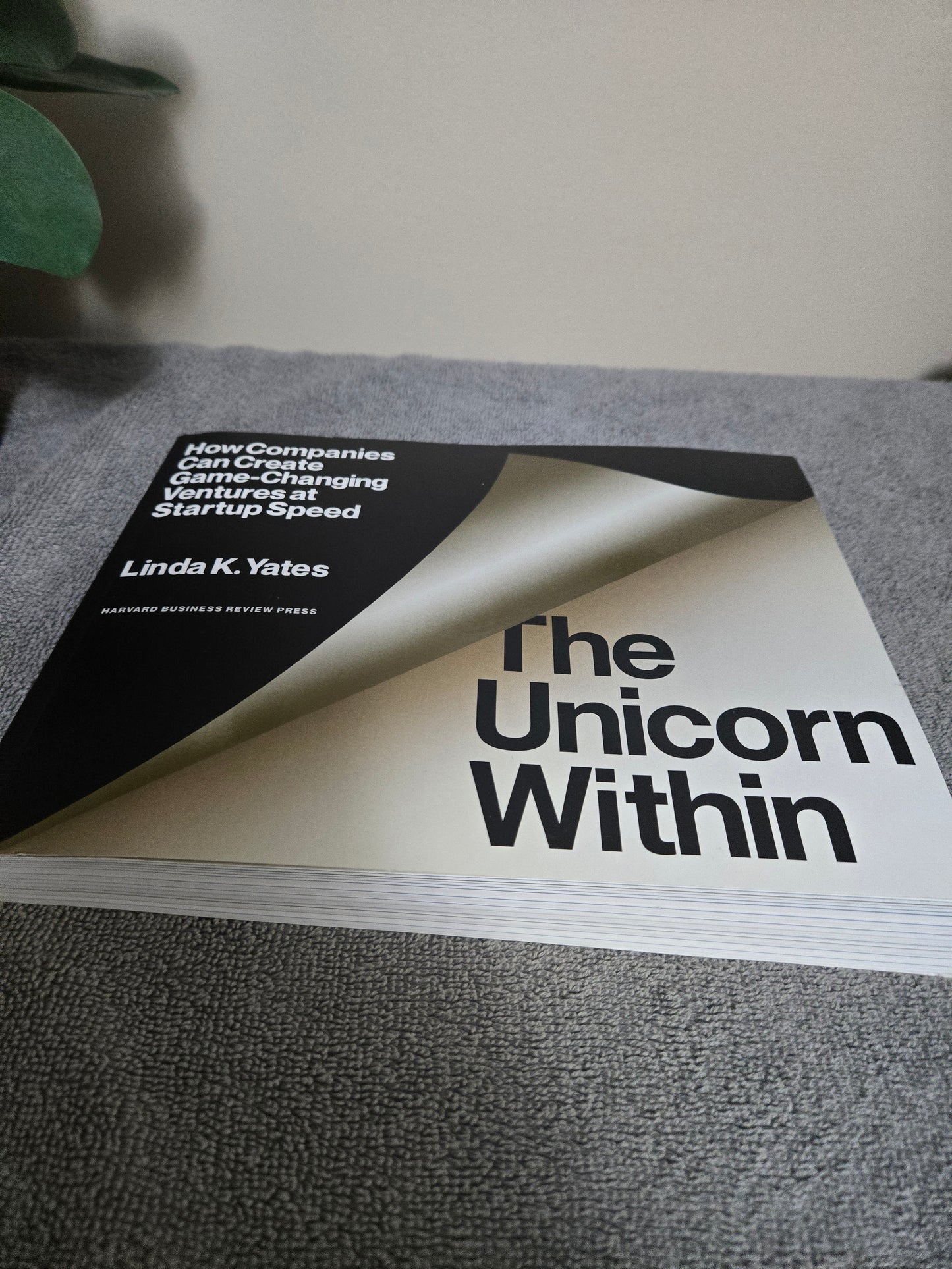 The Unicorn Within: How Companies Can Create Game-Changing Ventures at Startup Speed