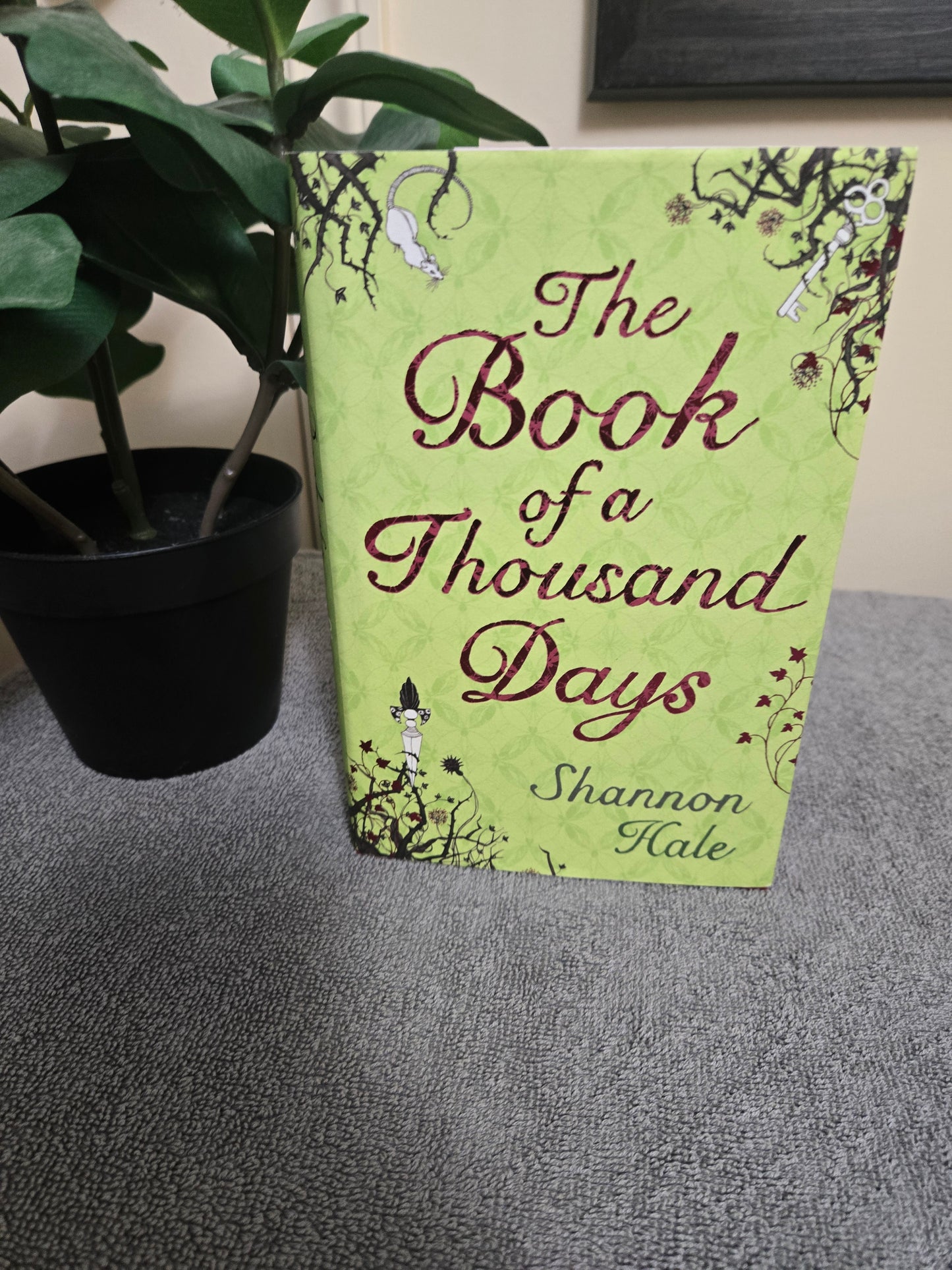 The Book of a Thousand Days