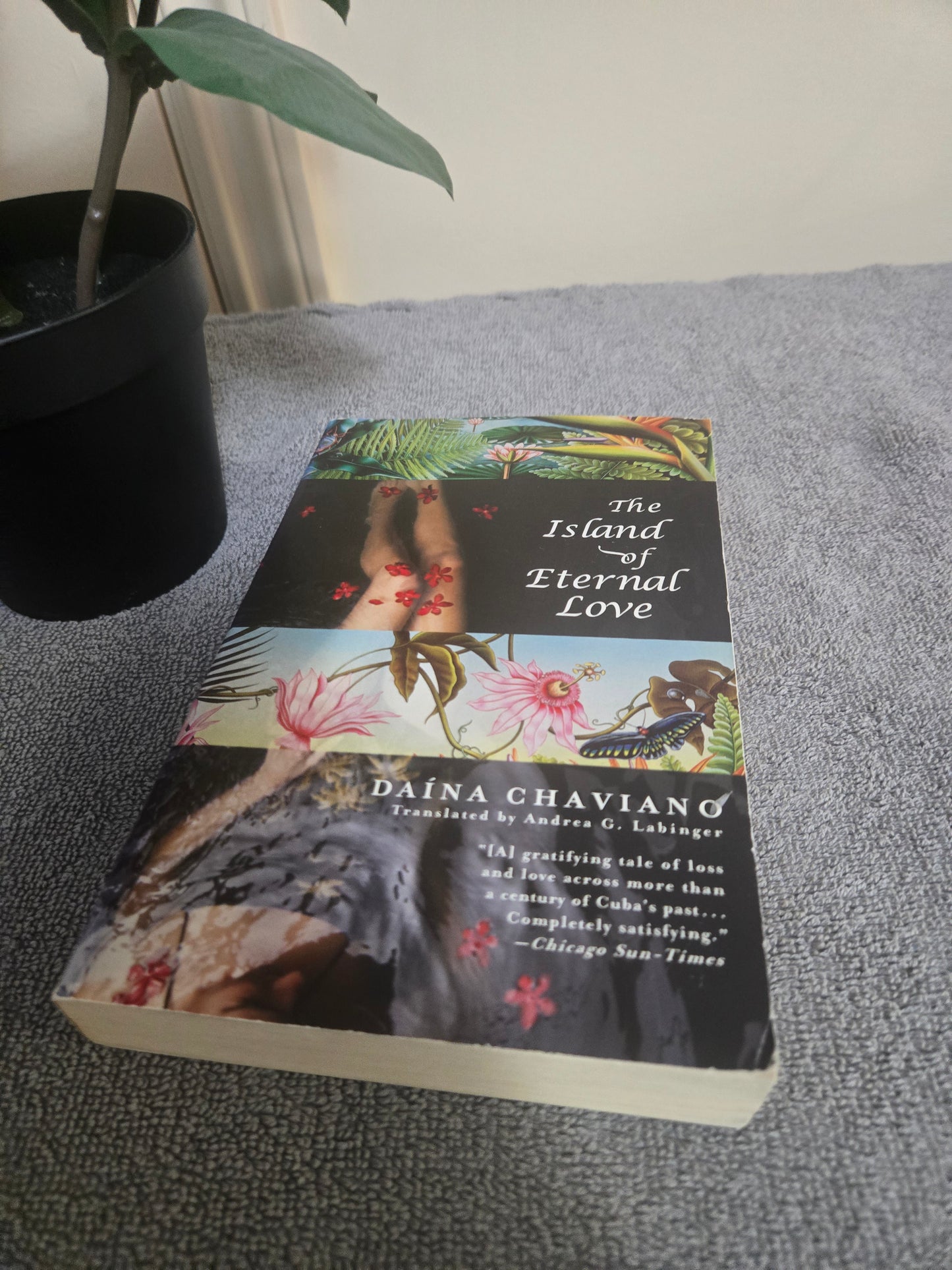 The Island of Eternal Love