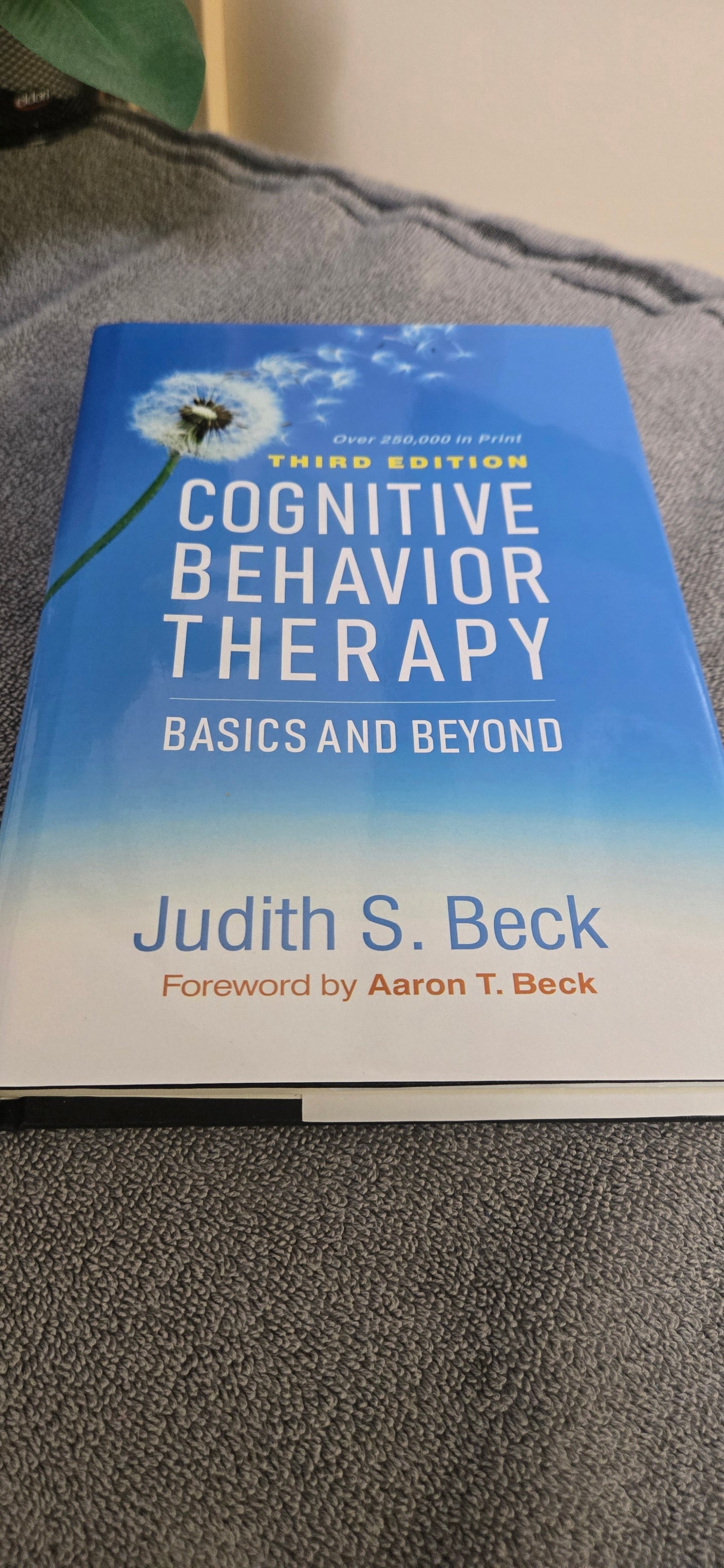 Cognitive Behavior Therapy: Basics and Beyond