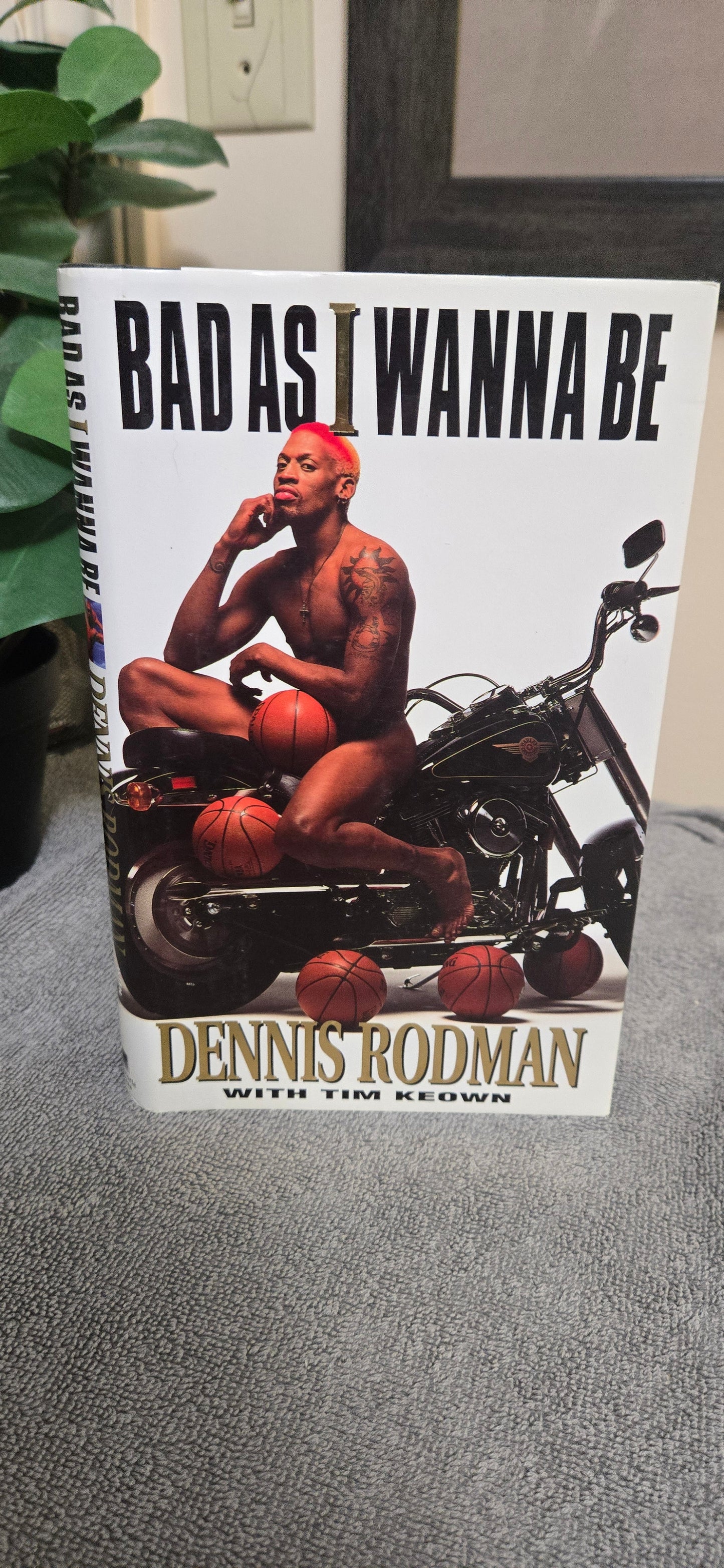 Bad as I Wanna Be- Dennis Rodman