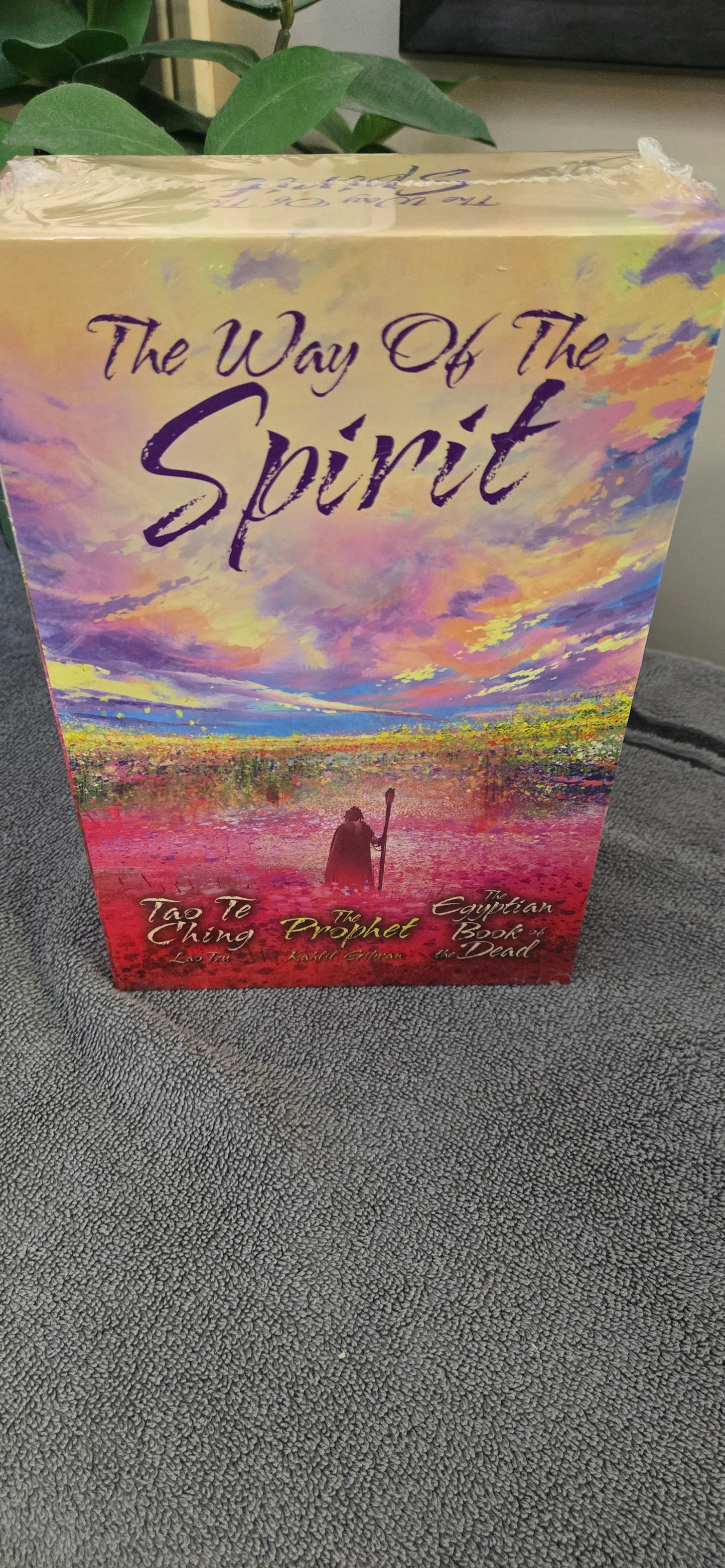The Way of the Spirit: Deluxe silkbound editions in boxed set (Arcturus Collector's Classics, 13)