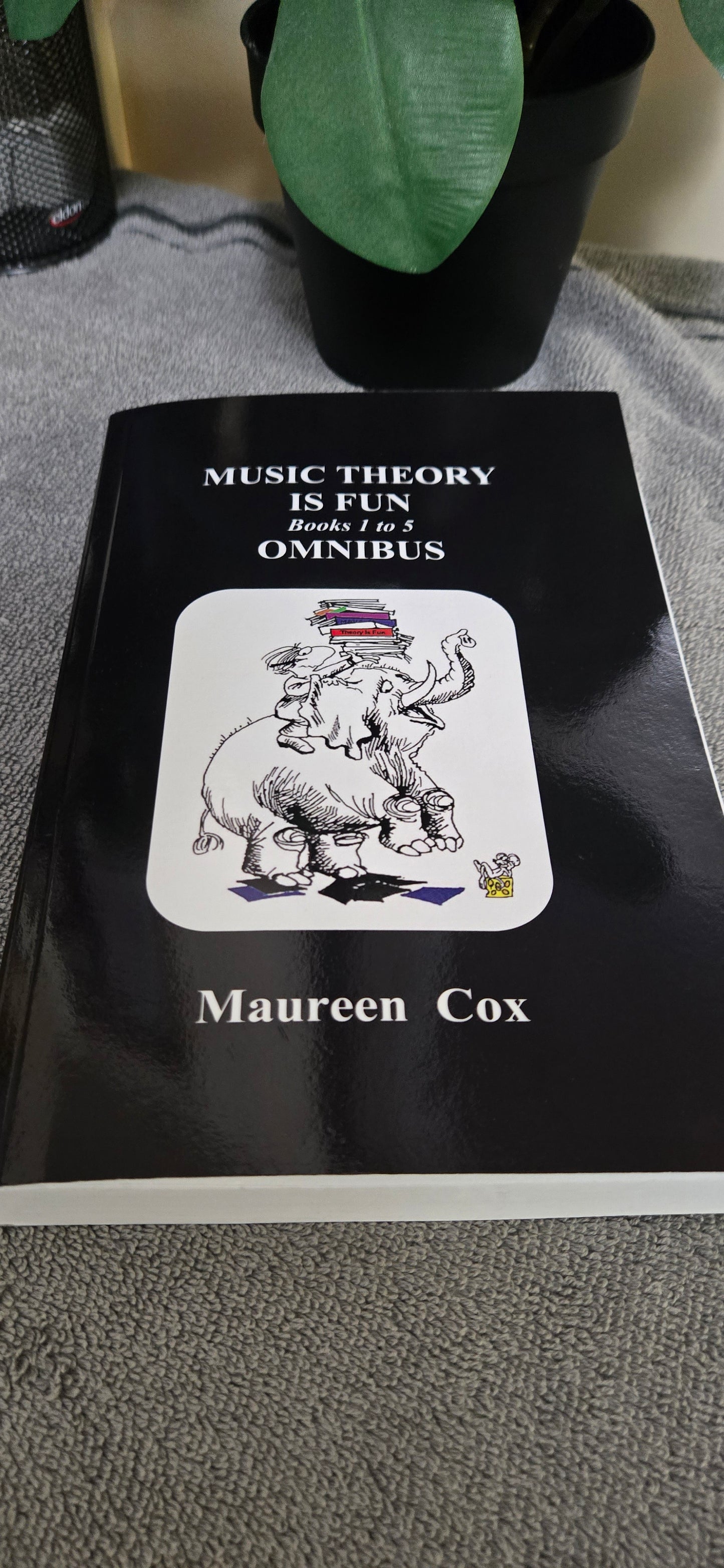Music Theory is Fun Books 1 to 5 Omnibus