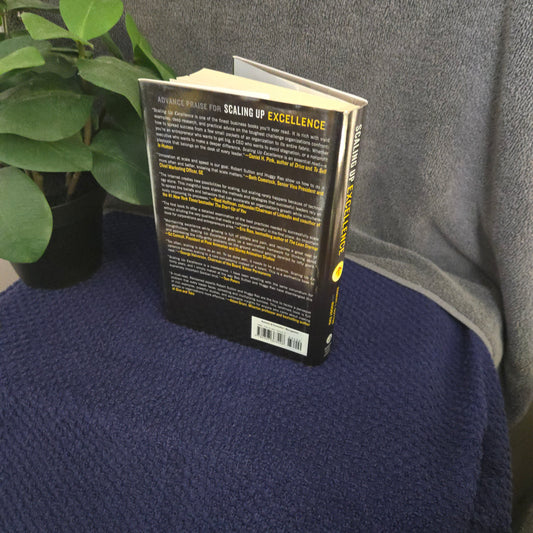 Scaling Up Excellence: Getting to More Without Settling For Less