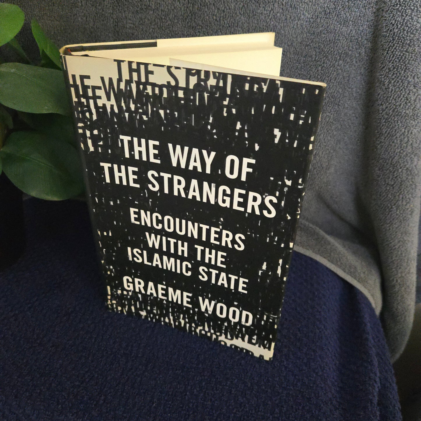 The Way of the Strangers: Encounters with the Islamic State