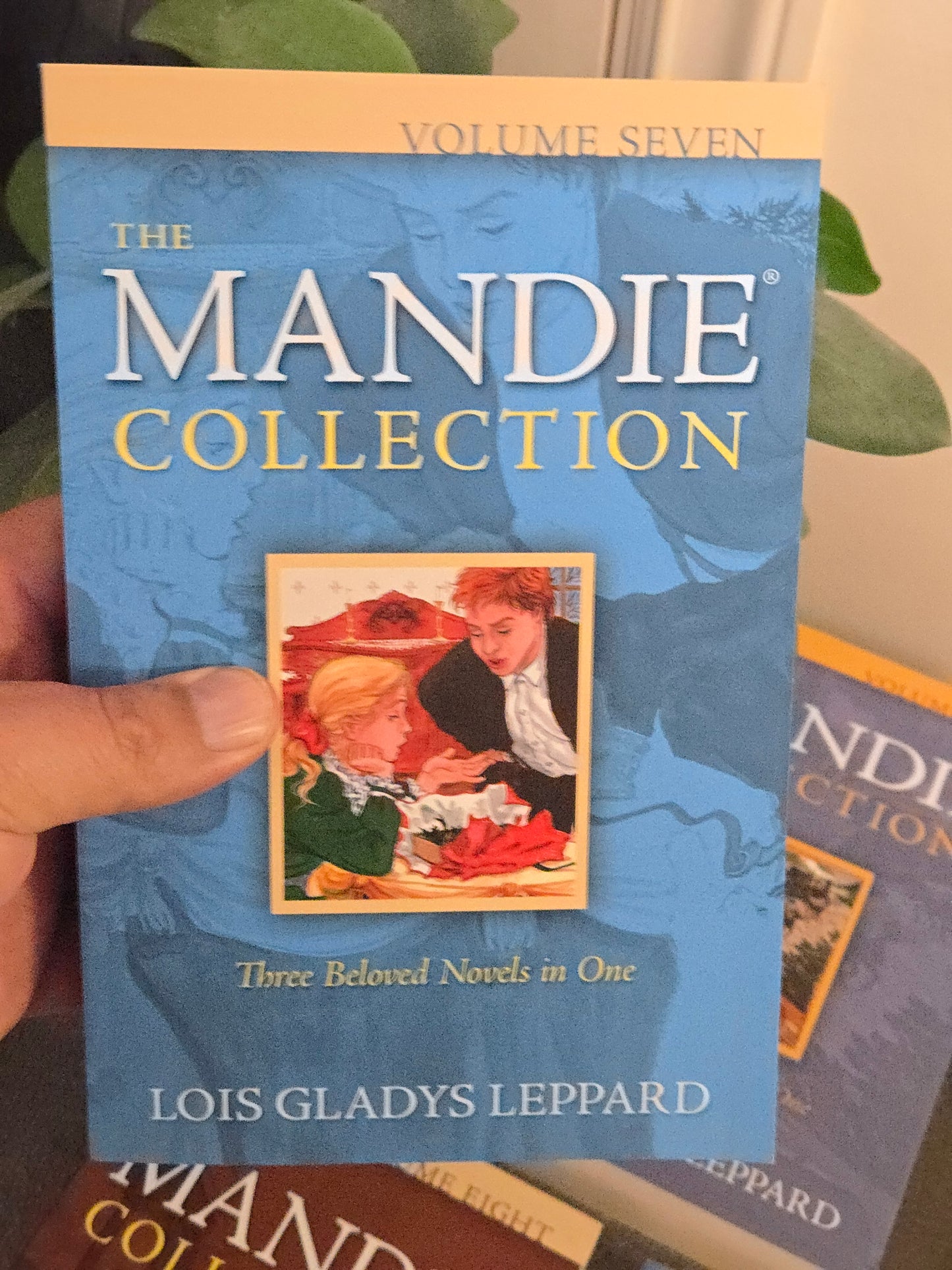 The Complete Mandie Collection by Lois Gladys Leppard