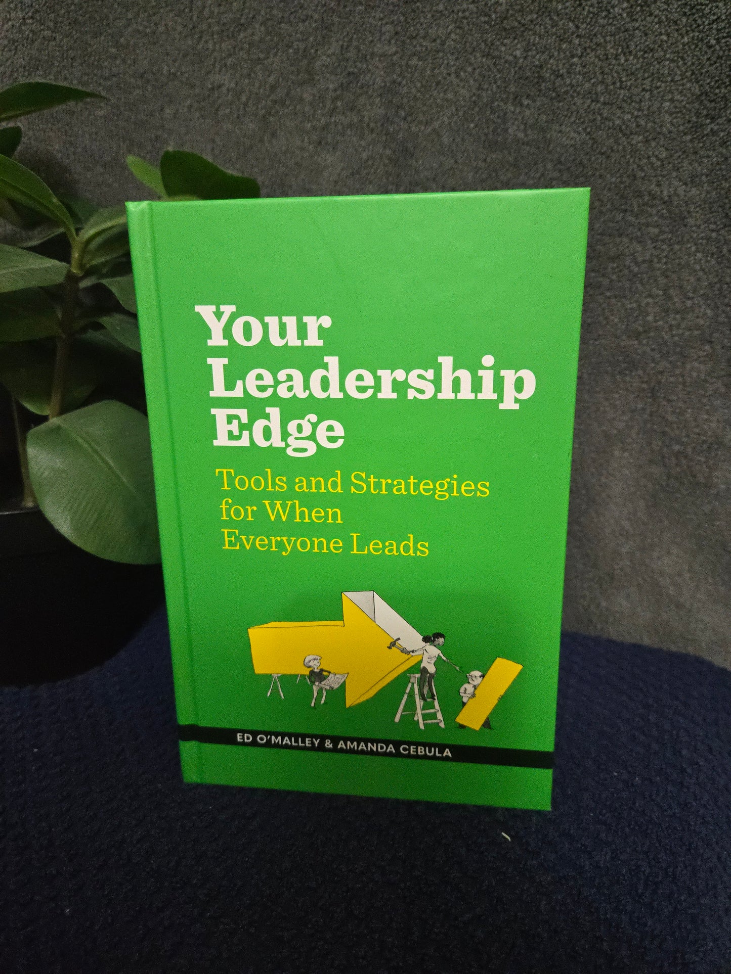 Your Leadership Edge: Strategies and Tools for When Everyone Leads