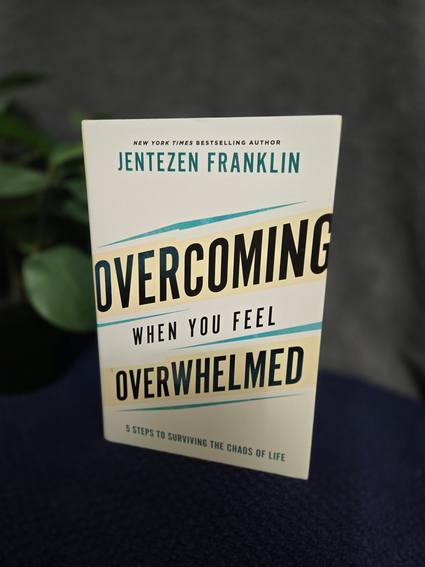 Overcoming When You Feel Overwhelmed: 5 Steps to Surviving the Chaos of Life (A Practical Guide to Getting Unstuck & Conquering Fear, Anxiety, & Stress)