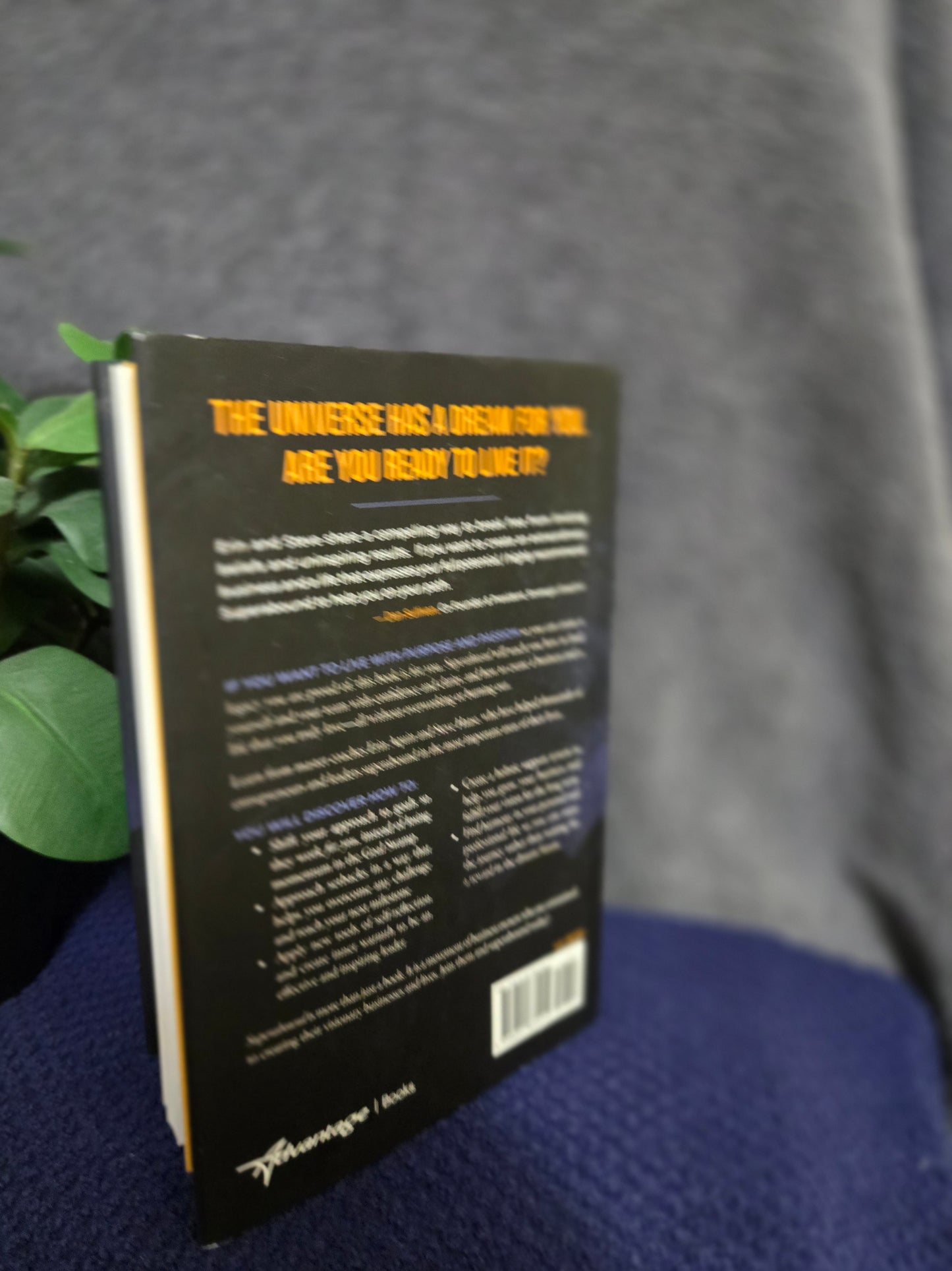 Superabound: Live the Life the Universe is Dreaming for You