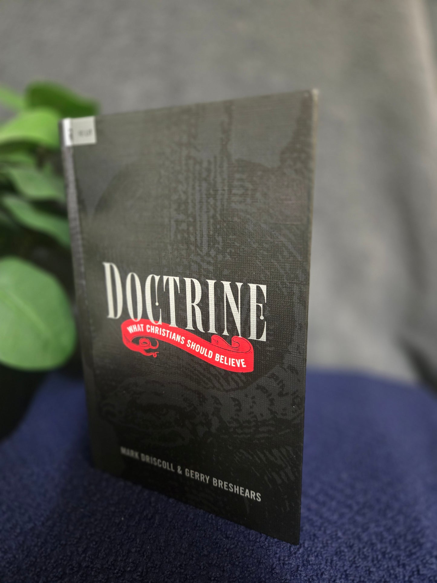 Doctrine: What Christians Should Believe (RE: Lit)