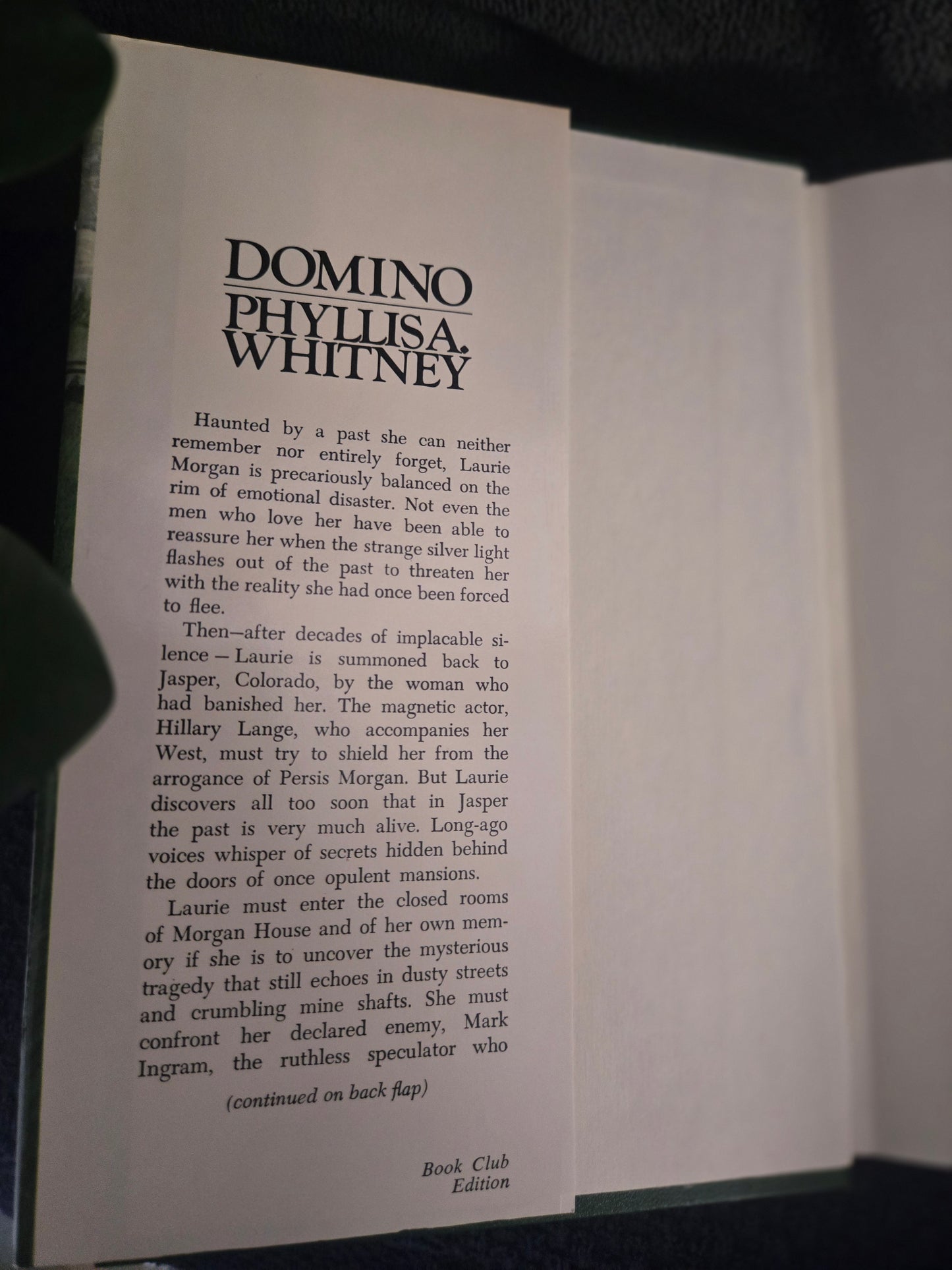 Domino