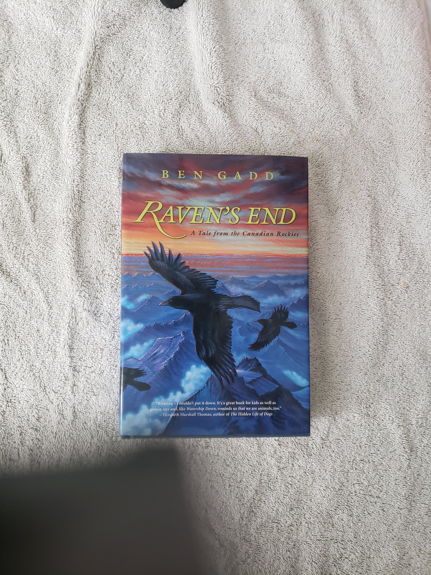 Raven's End: A Tale of the Canadian Rockies