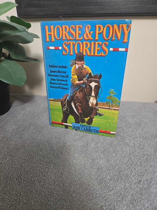 Horse and Pony Stories