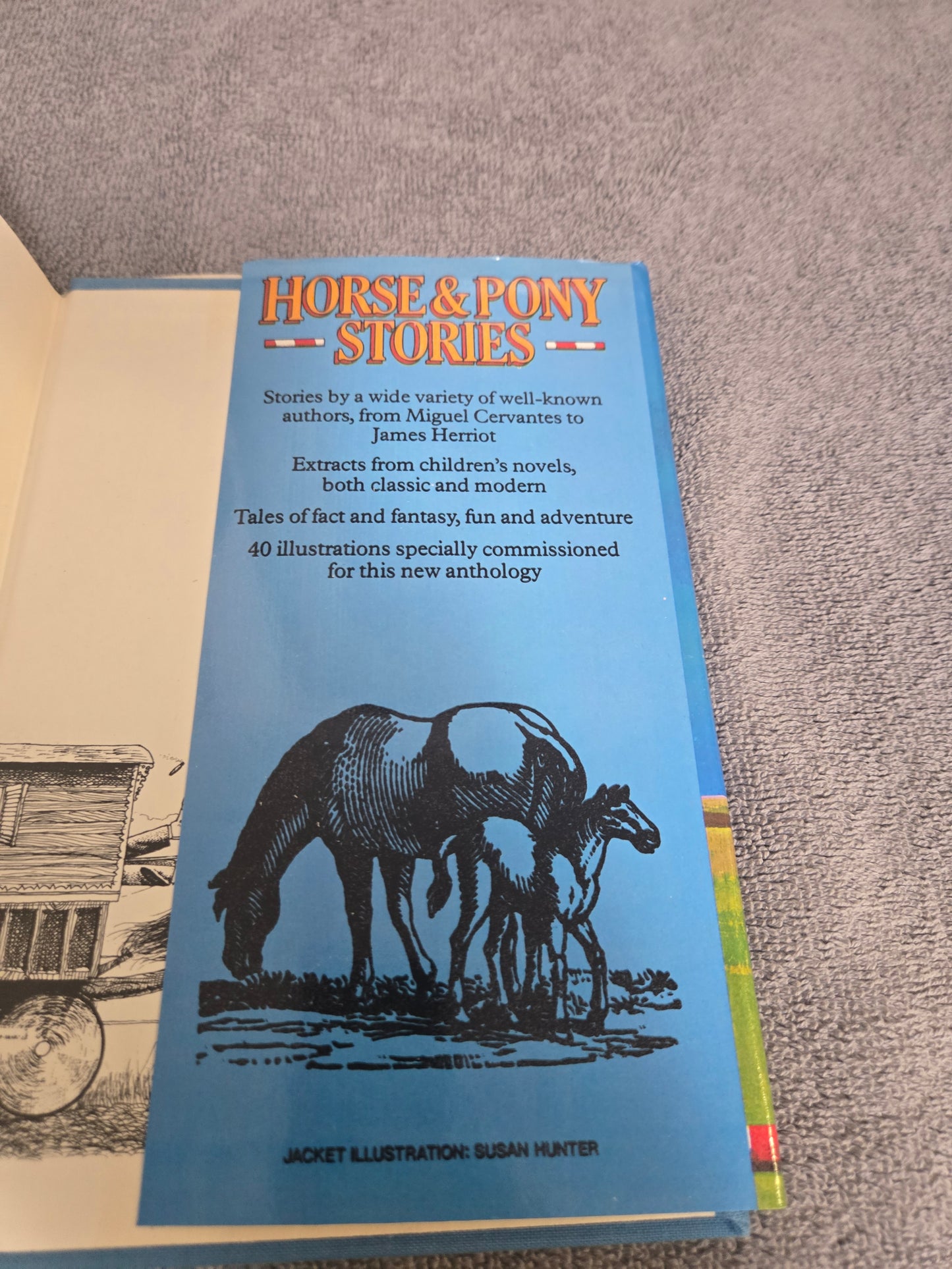 Horse and Pony Stories