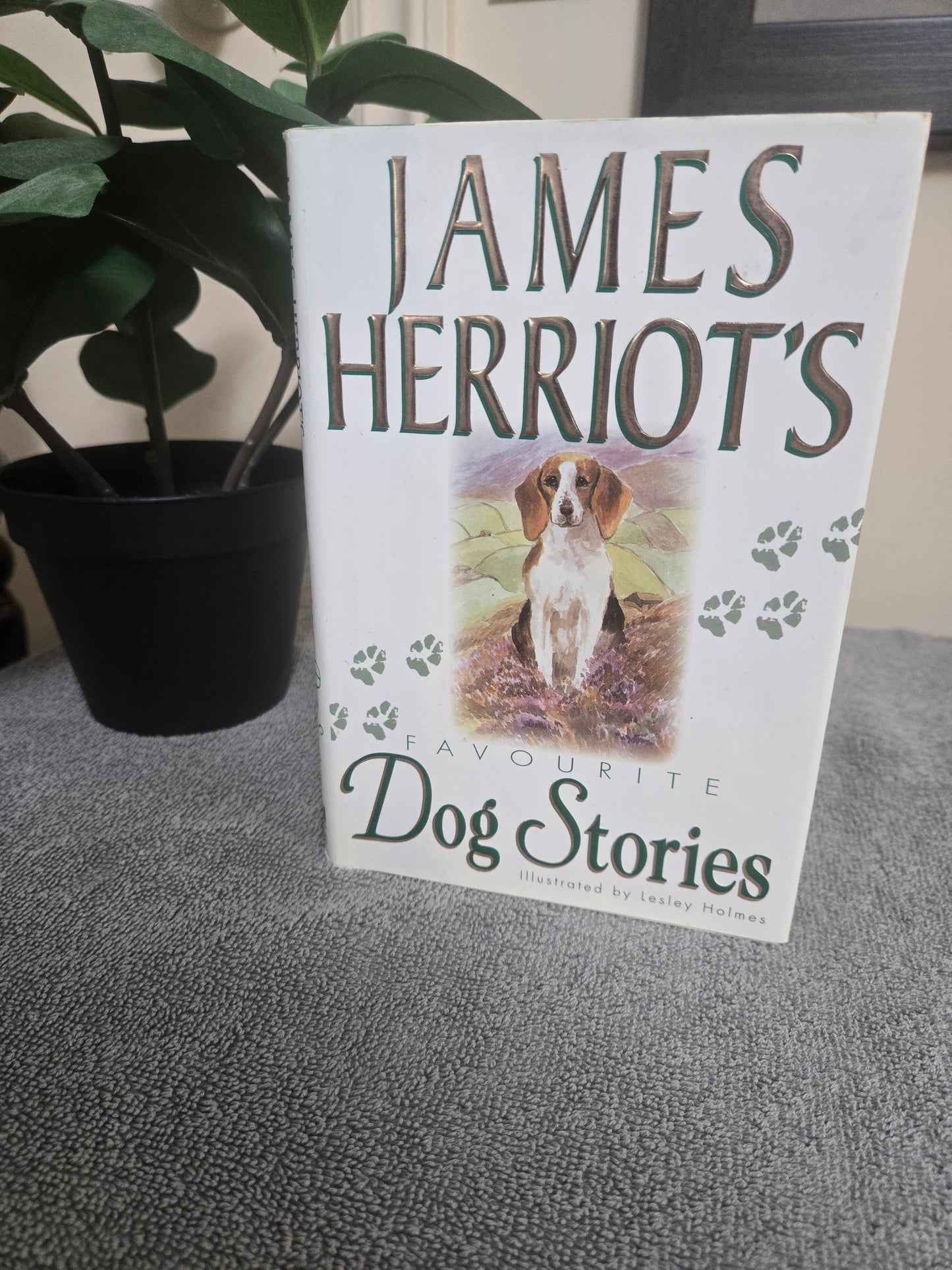 James Herriot's Favorite Dog Stories