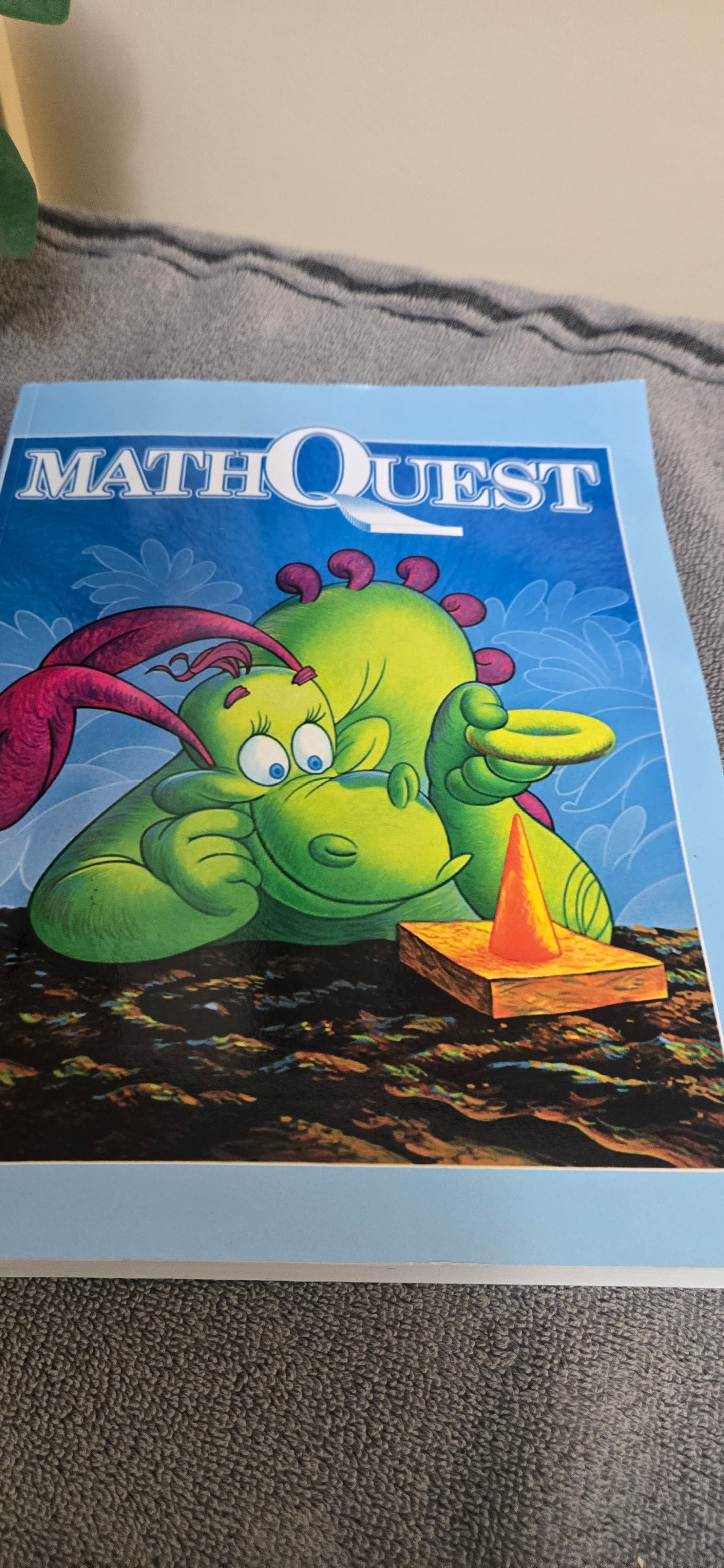 MathQuest One Workbook (MathQuest for Primary Students)