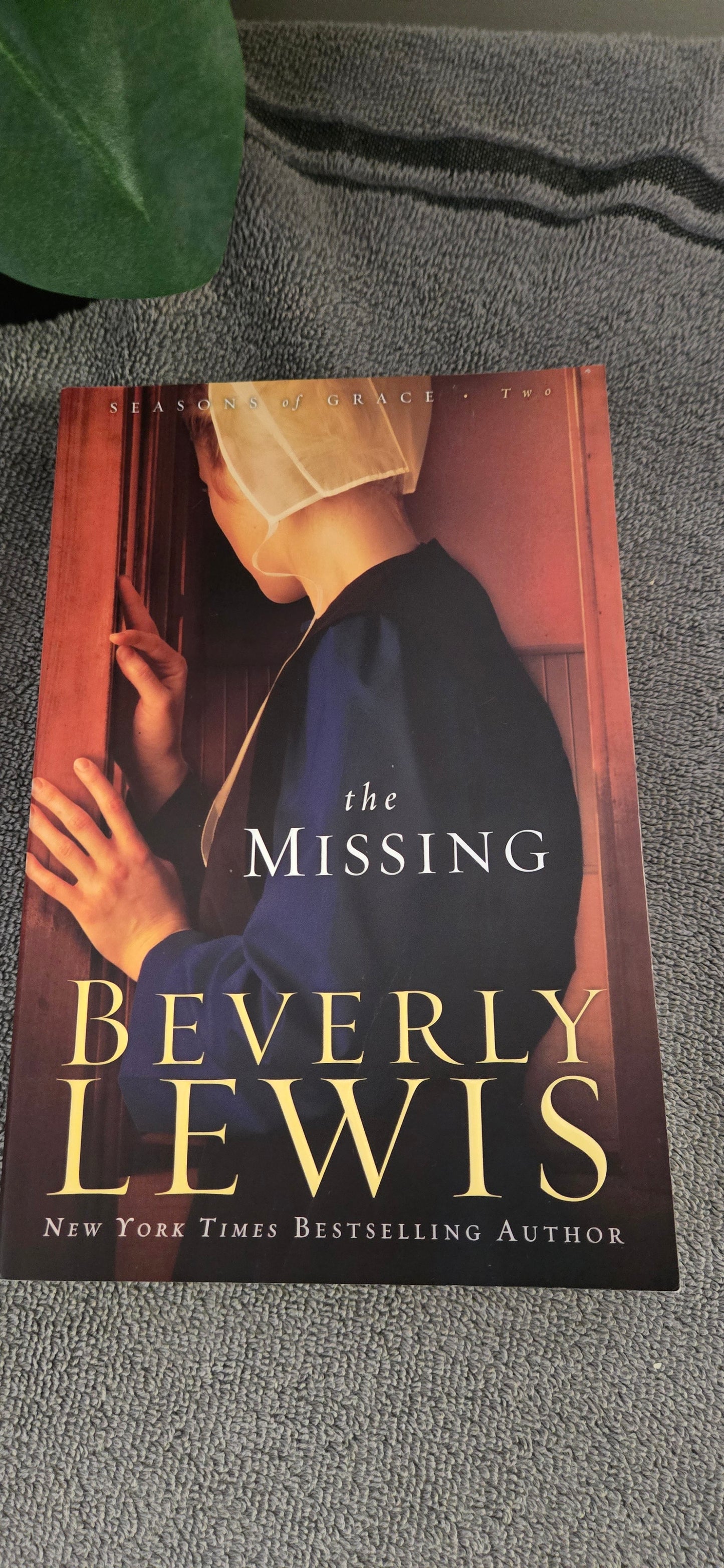 The Missing (Seasons of Grace, Book 2)