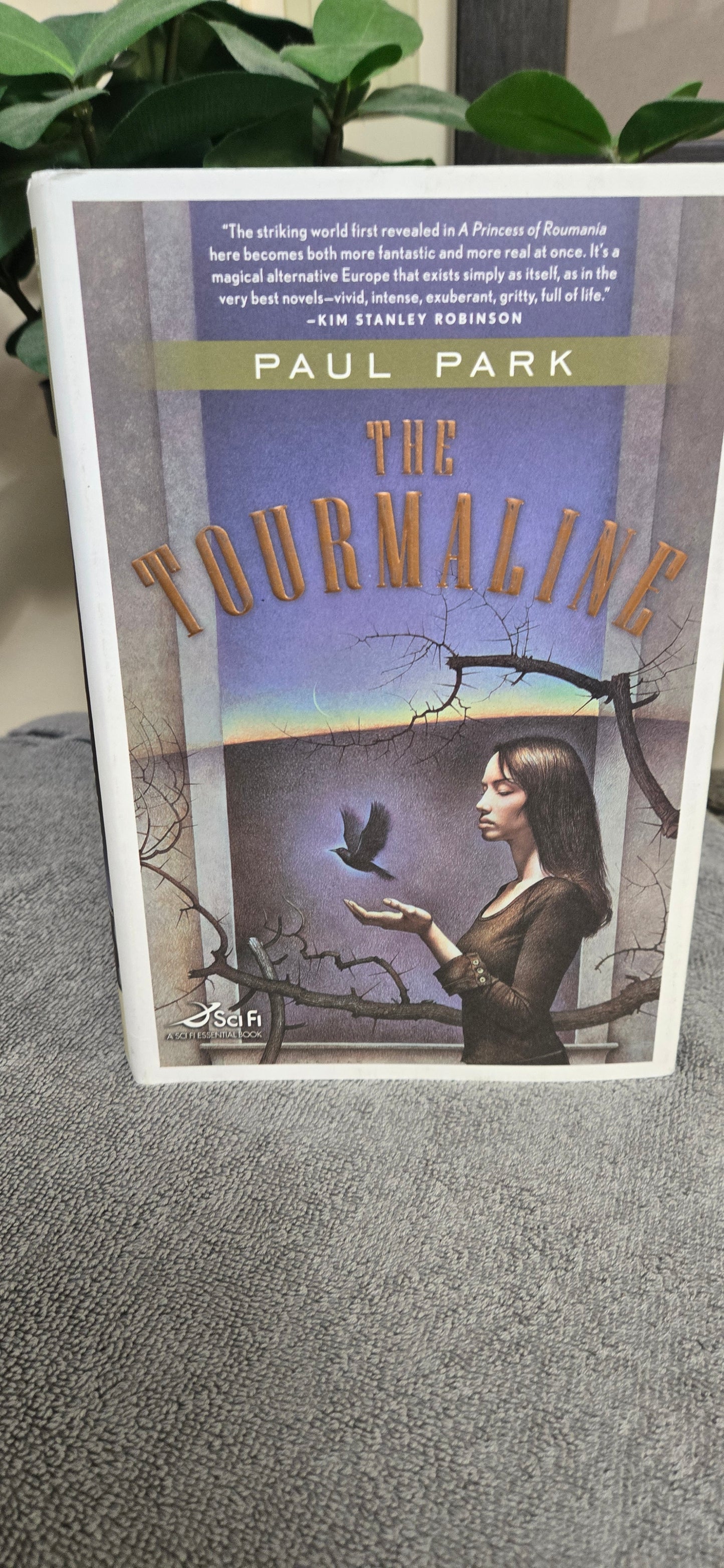 The Tourmaline (A Princess of Roumania)