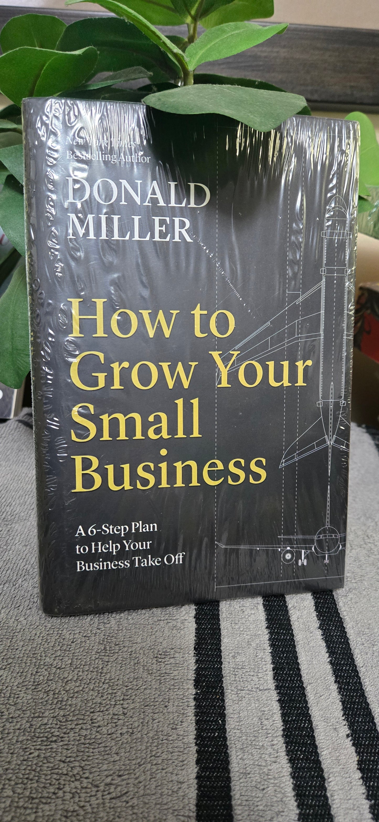 How to Grow Your Small Business: A 6-Step Plan to Help Your Business Take Off