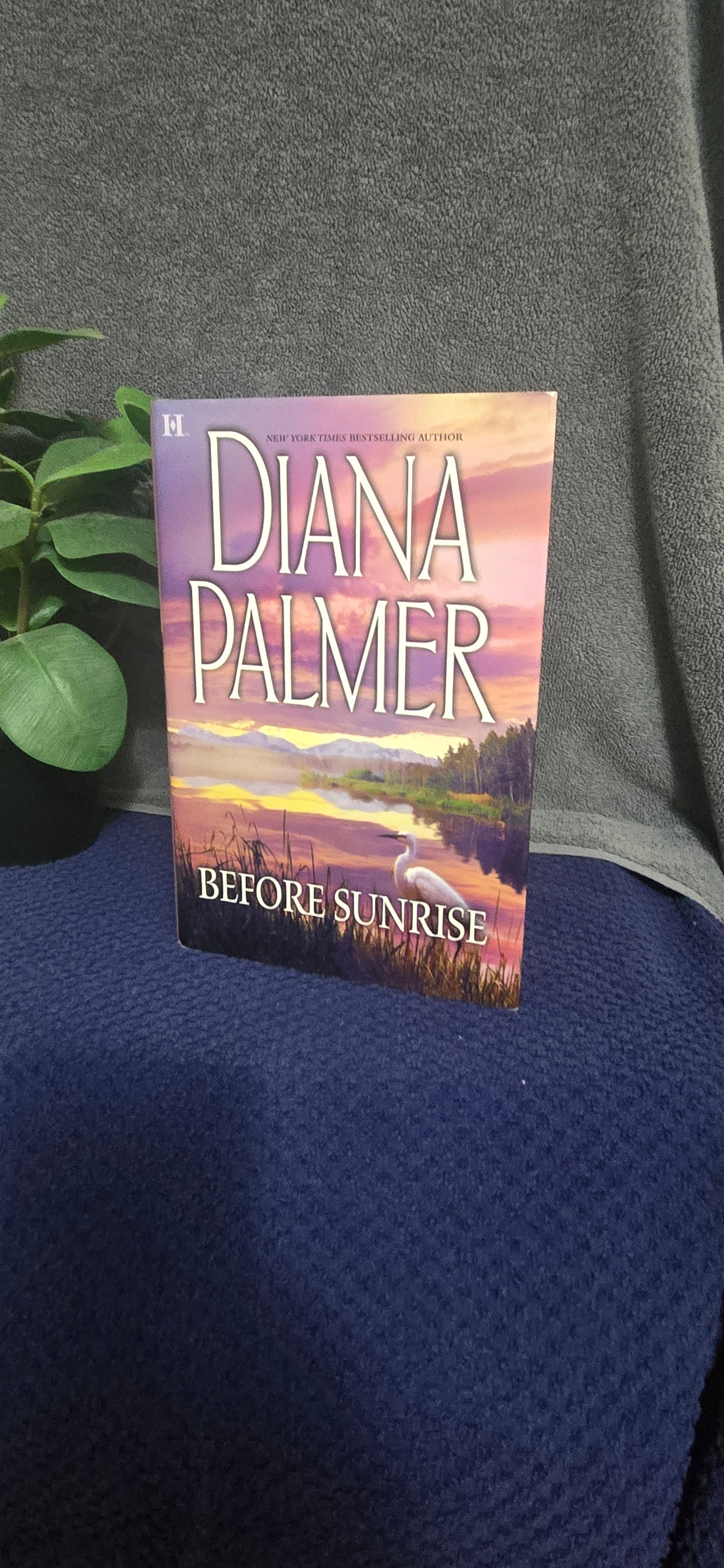 Before Sunrise
