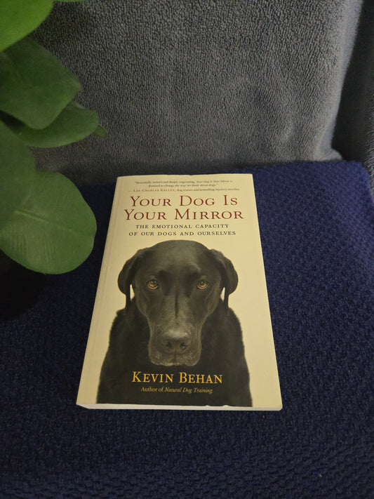 Your Dog Is Your Mirror: The Emotional Capacity of Our Dogs and Ourselves