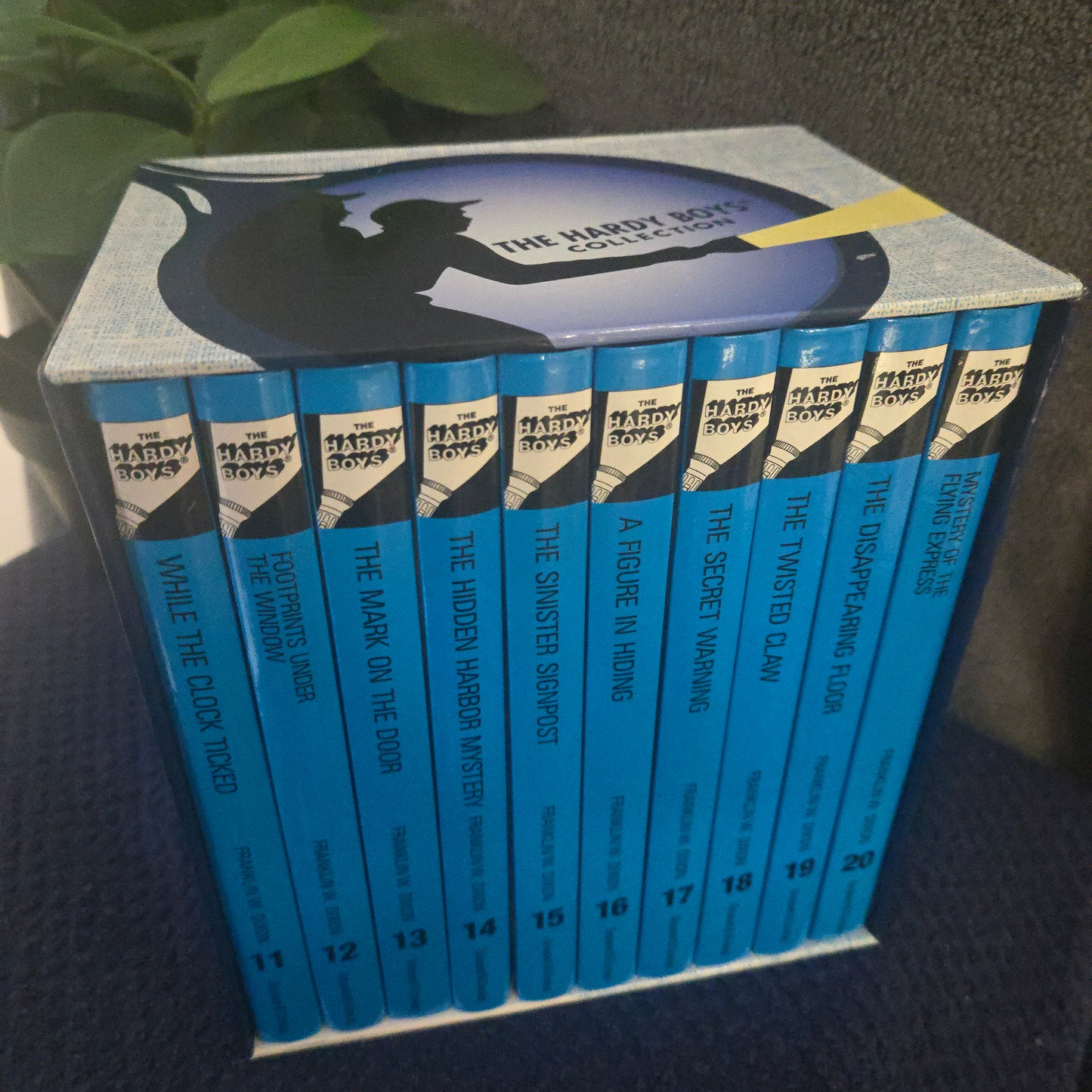 The Hardy Boys Collection Books 11–20 (10-Book Box Set)