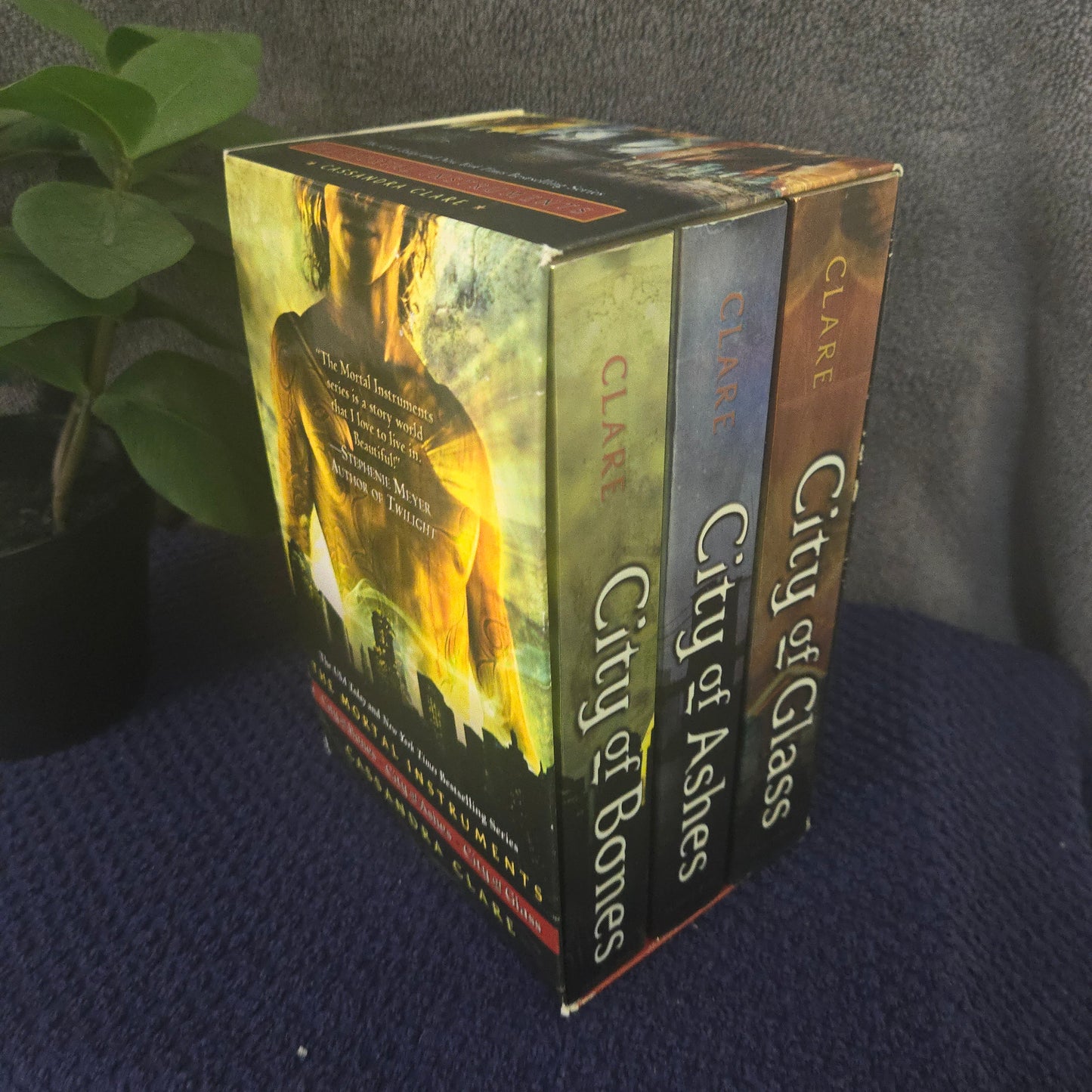 The Mortal Instruments: City of Bones; City of Ashes; City of Glass