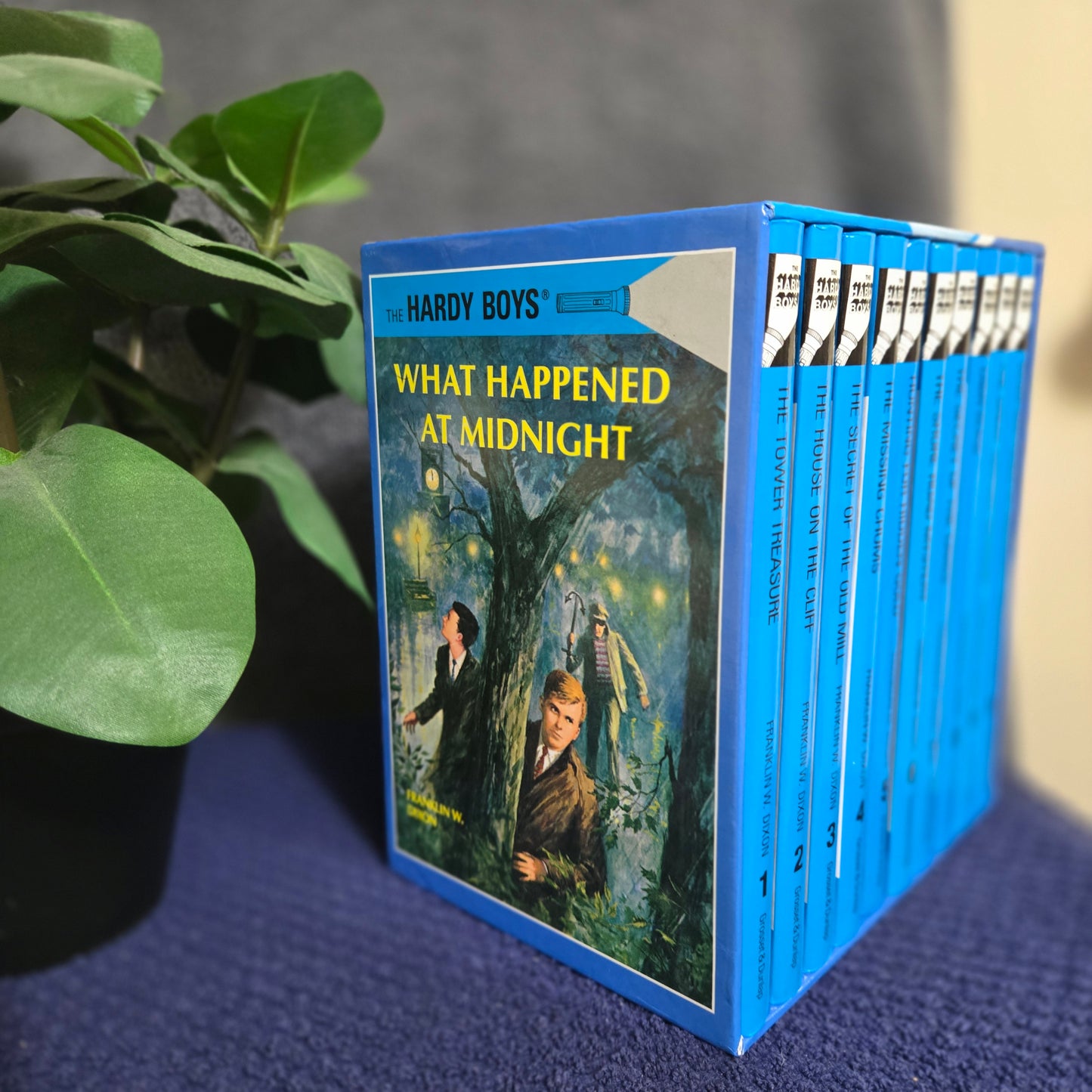 Hardy Boys Set - Books 1-10