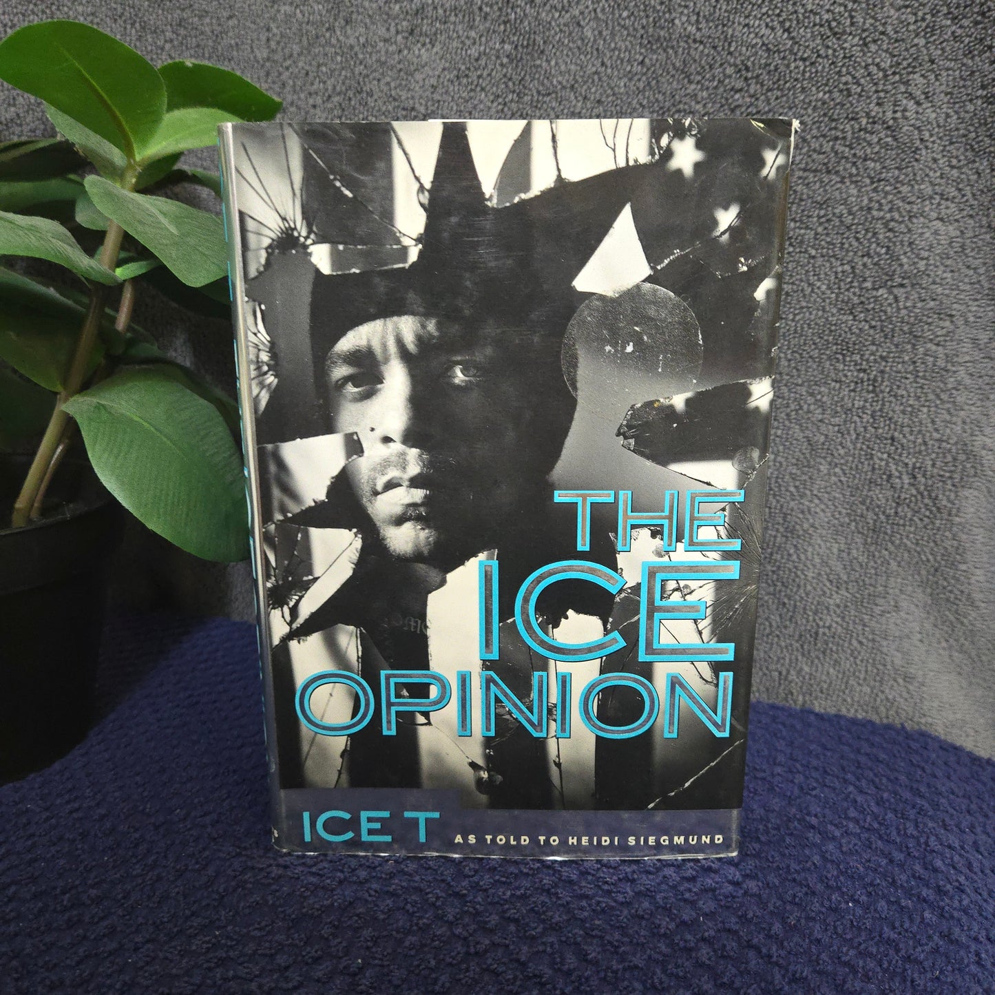 The Ice Opinion: Ice T