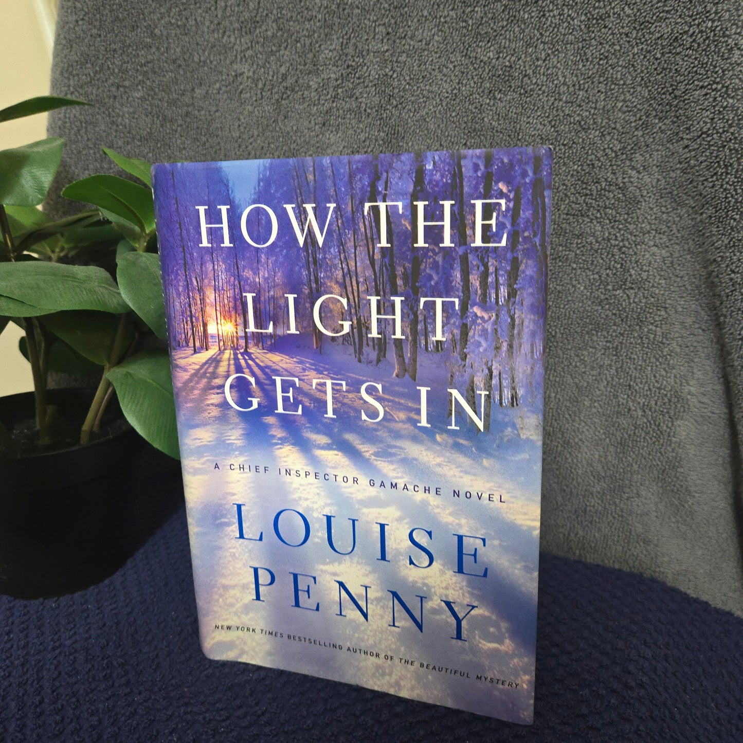 How the Light Gets In: A Chief Inspector Gamache Novel (Chief Inspector Gamache Novel, 9)