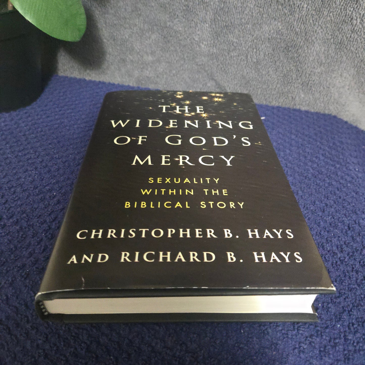 The Widening of God's Mercy: Sexuality Within the Biblical Story