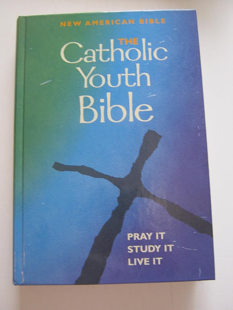 Catholic Youth Bible - New American Bible - Pray It, Study It, Live It cover image