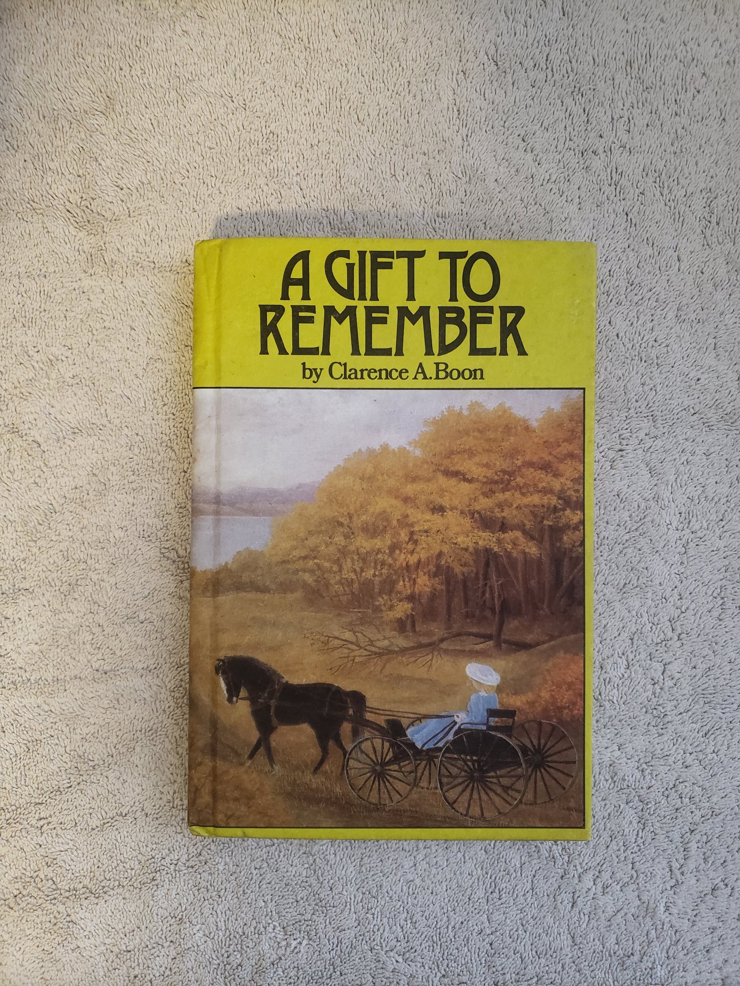 A Gift to Remember (Clarence A. Boon) - Jennifer & Ryan Books