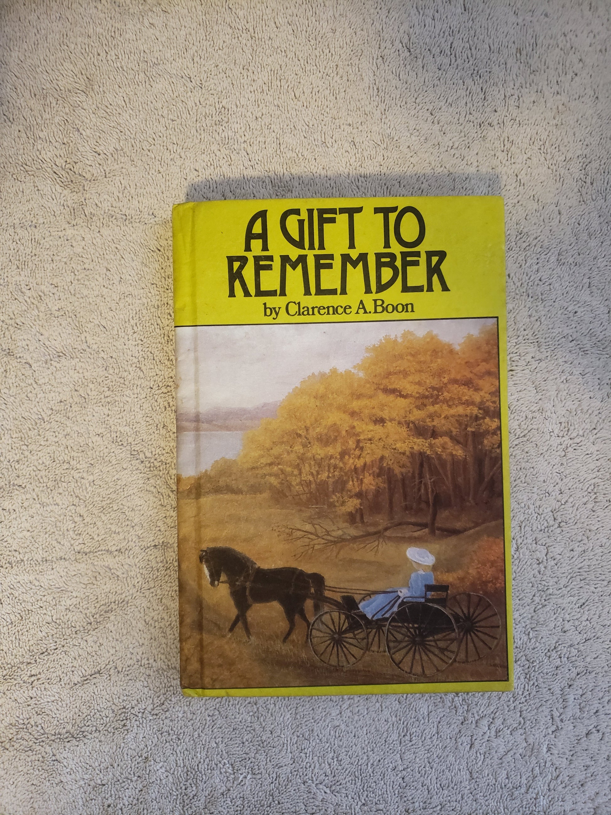 A Gift to Remember (Clarence A. Boon) - Jennifer & Ryan Books