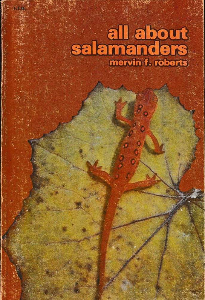 All About Salamanders - Jennifer & Ryan Books