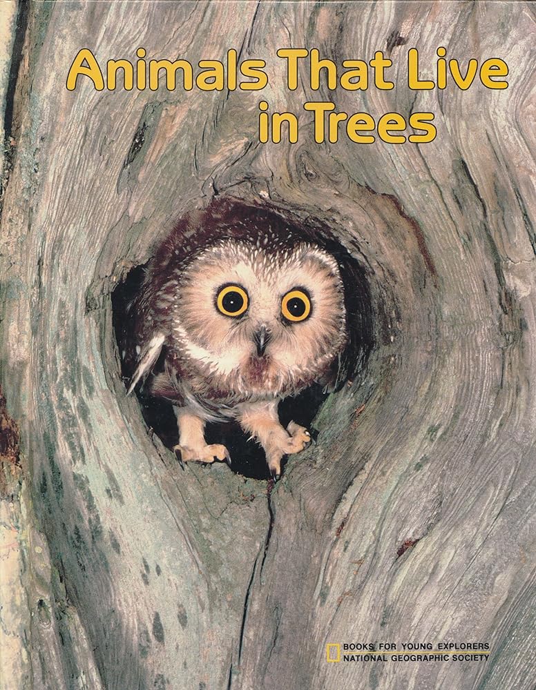 Animals That Live in Trees - Jennifer & Ryan Books