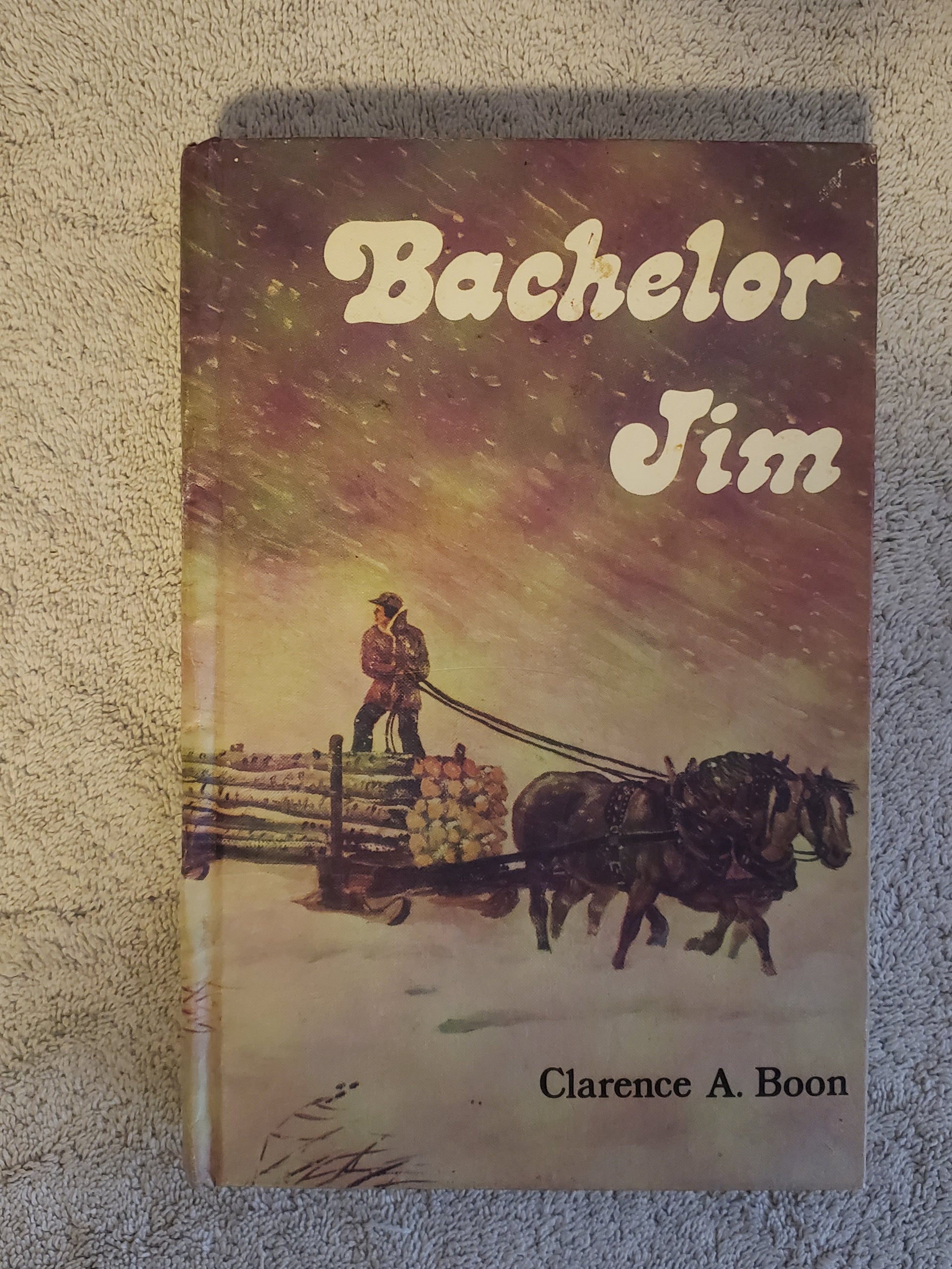 Bachelor Jim (Carence A. Boon) - Jennifer & Ryan Books