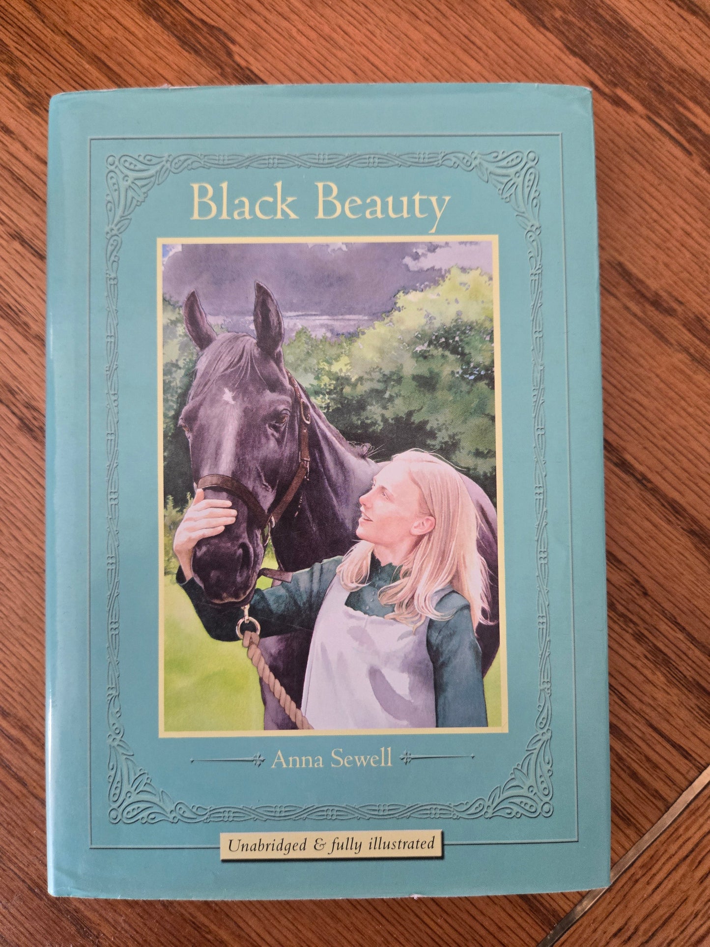 Black Beauty Vintage Book Collection - Jennifer & Ryan Books