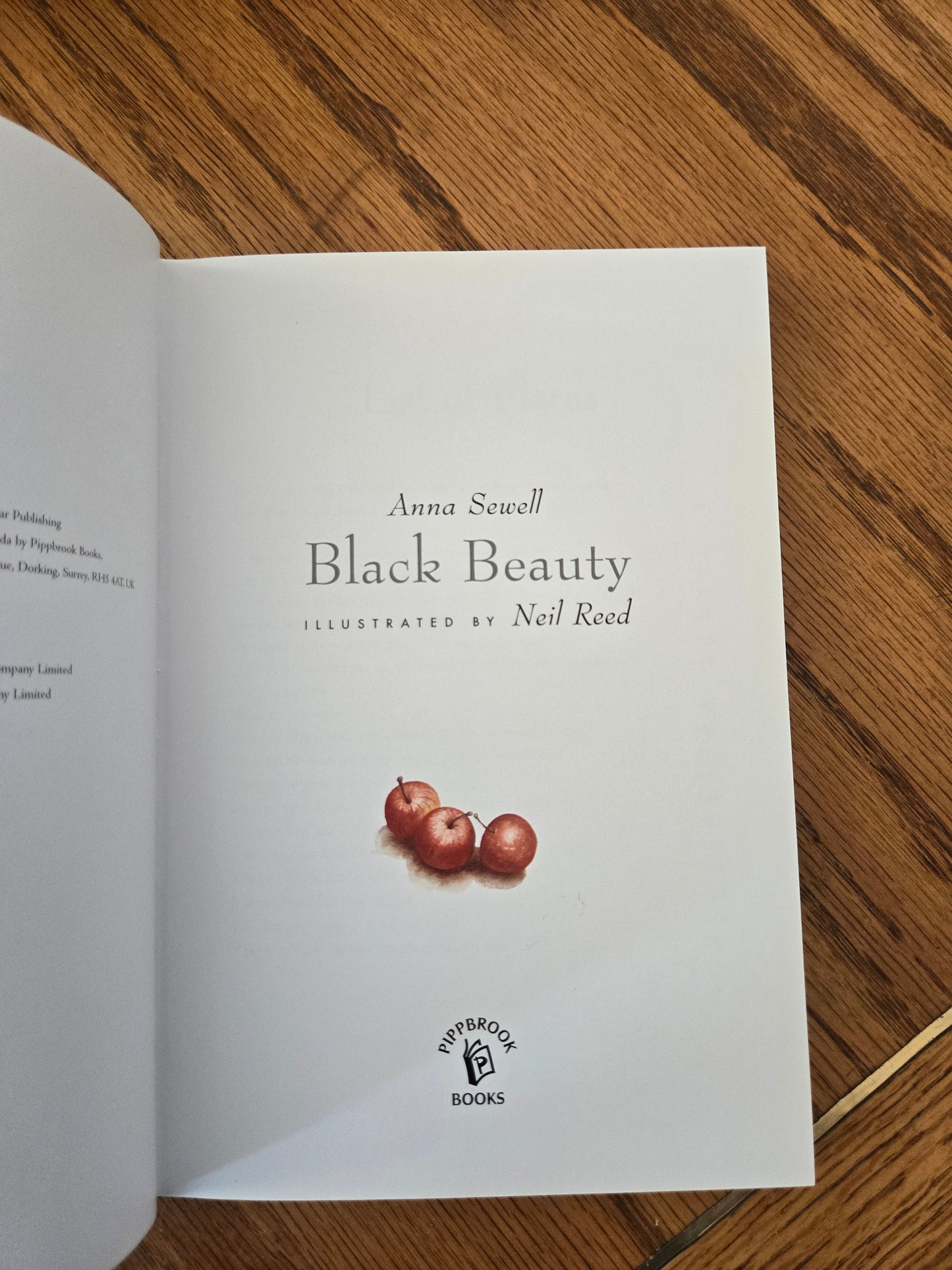 Black Beauty Vintage Book Collection - Jennifer & Ryan Books