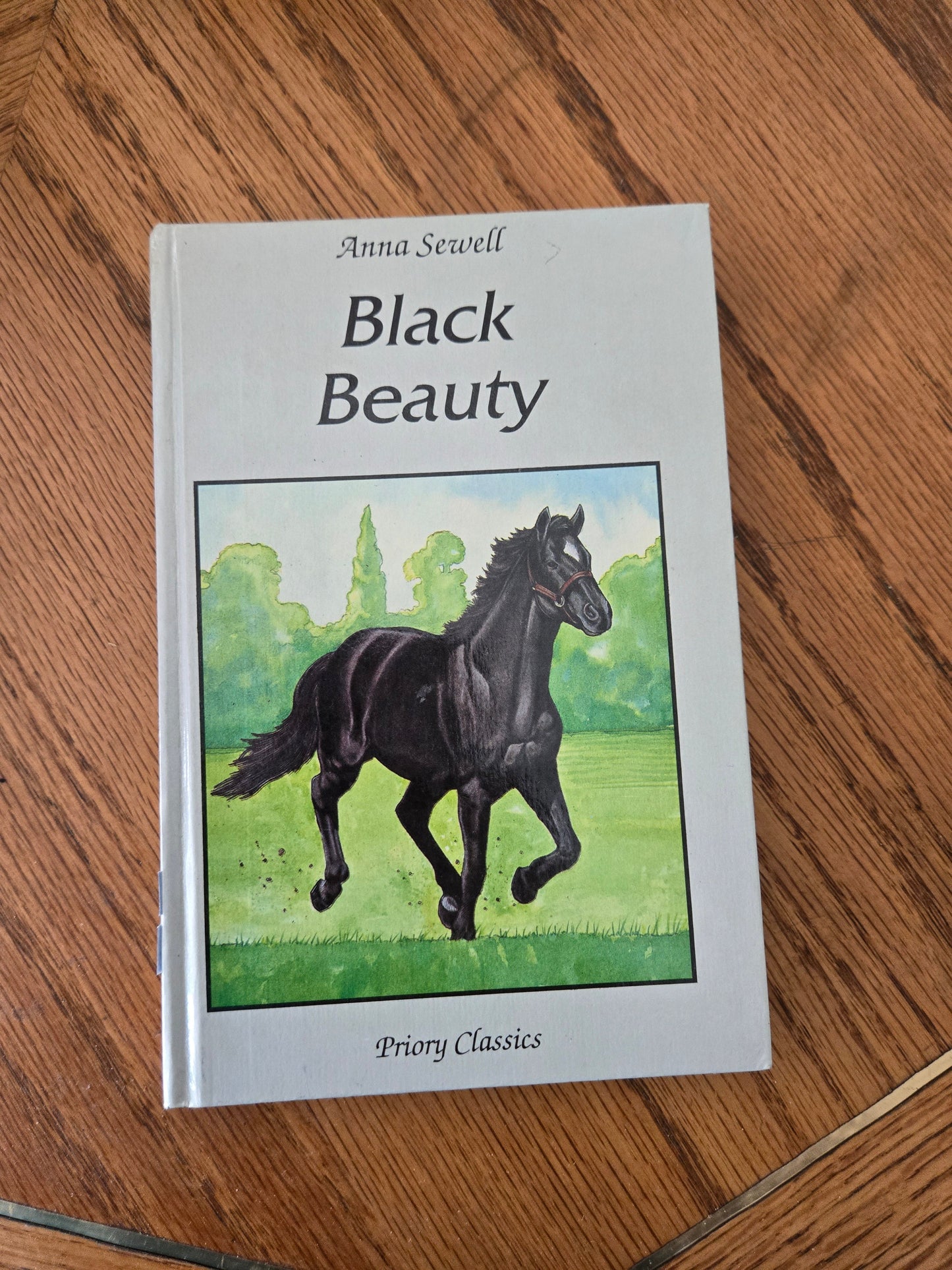 Black Beauty Vintage Book Collection - Jennifer & Ryan Books