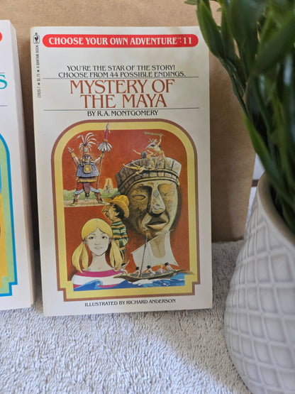 Choose Your Own Adventure #11: Mystery of the Maya - Jennifer & Ryan Books