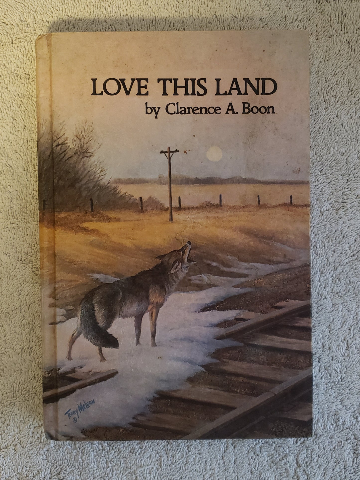 Love This Land (Clarence A, Boon) - Jennifer & Ryan Books