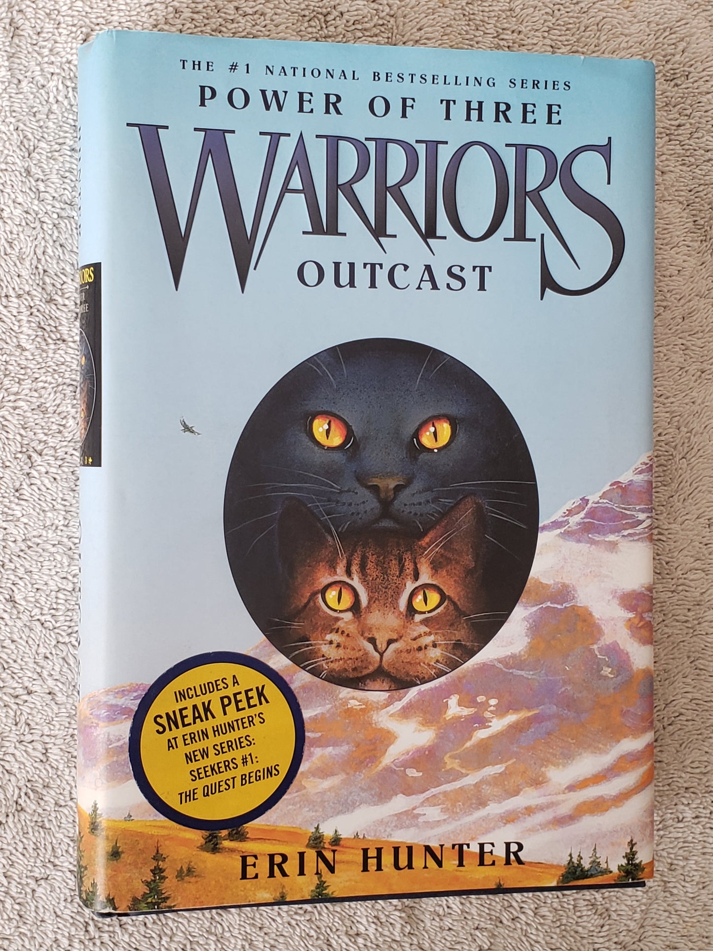 Outcast (Warriors: Power of Three, Book 3) - Jennifer & Ryan Books