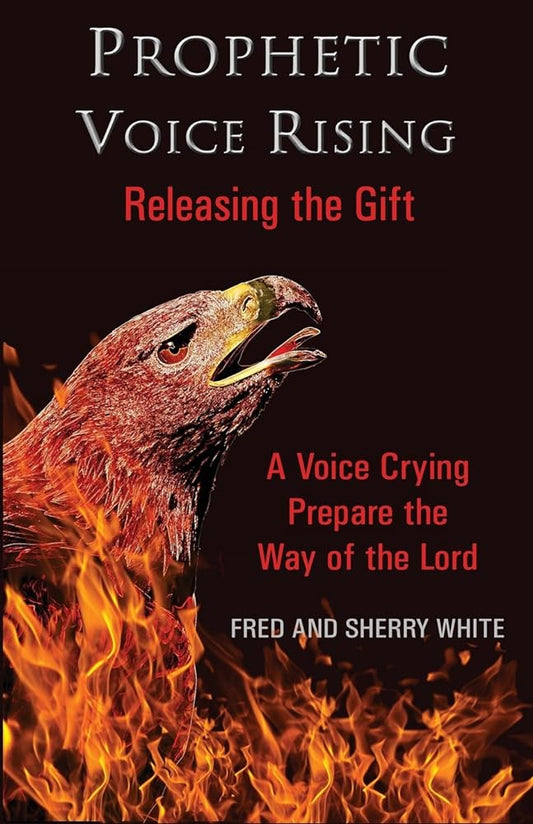 Prophetic Voice Rising: Releasing the Gift - Jennifer & Ryan Books