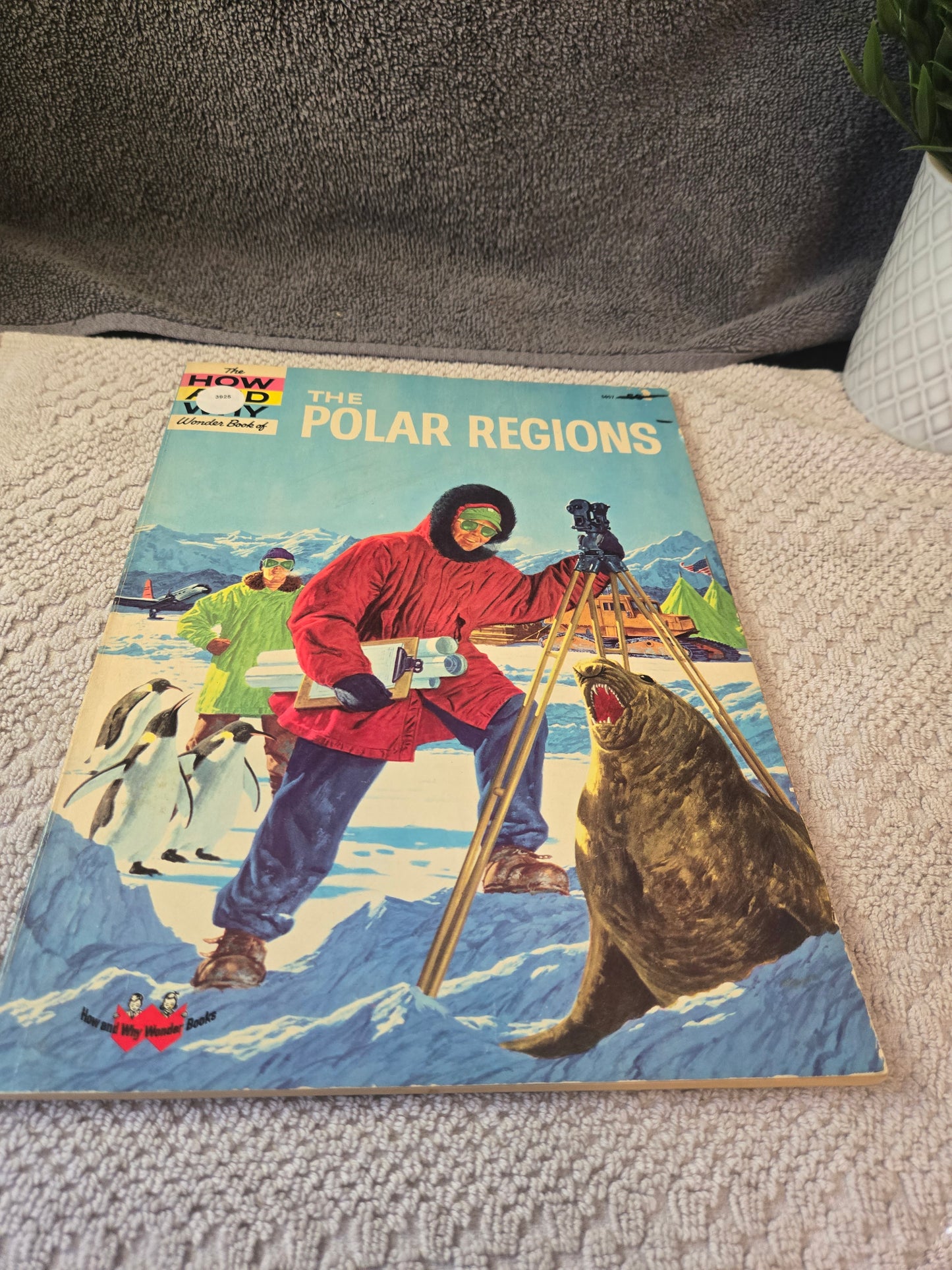 THE HOW AND WHY WONDER BOOK OF THE POLAR REGIONS