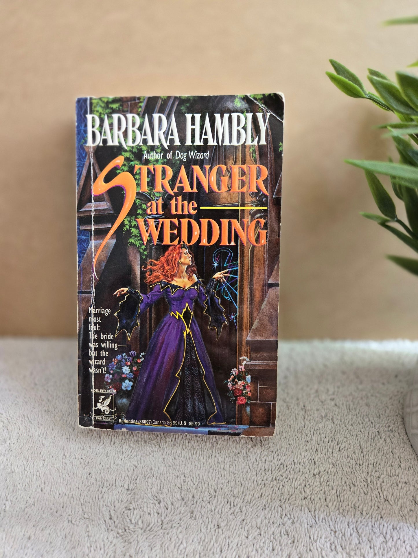 Stranger at the Wedding - Jennifer & Ryan Books