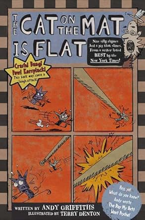 The Cat on the Mat Is Flat - Jennifer & Ryan Books